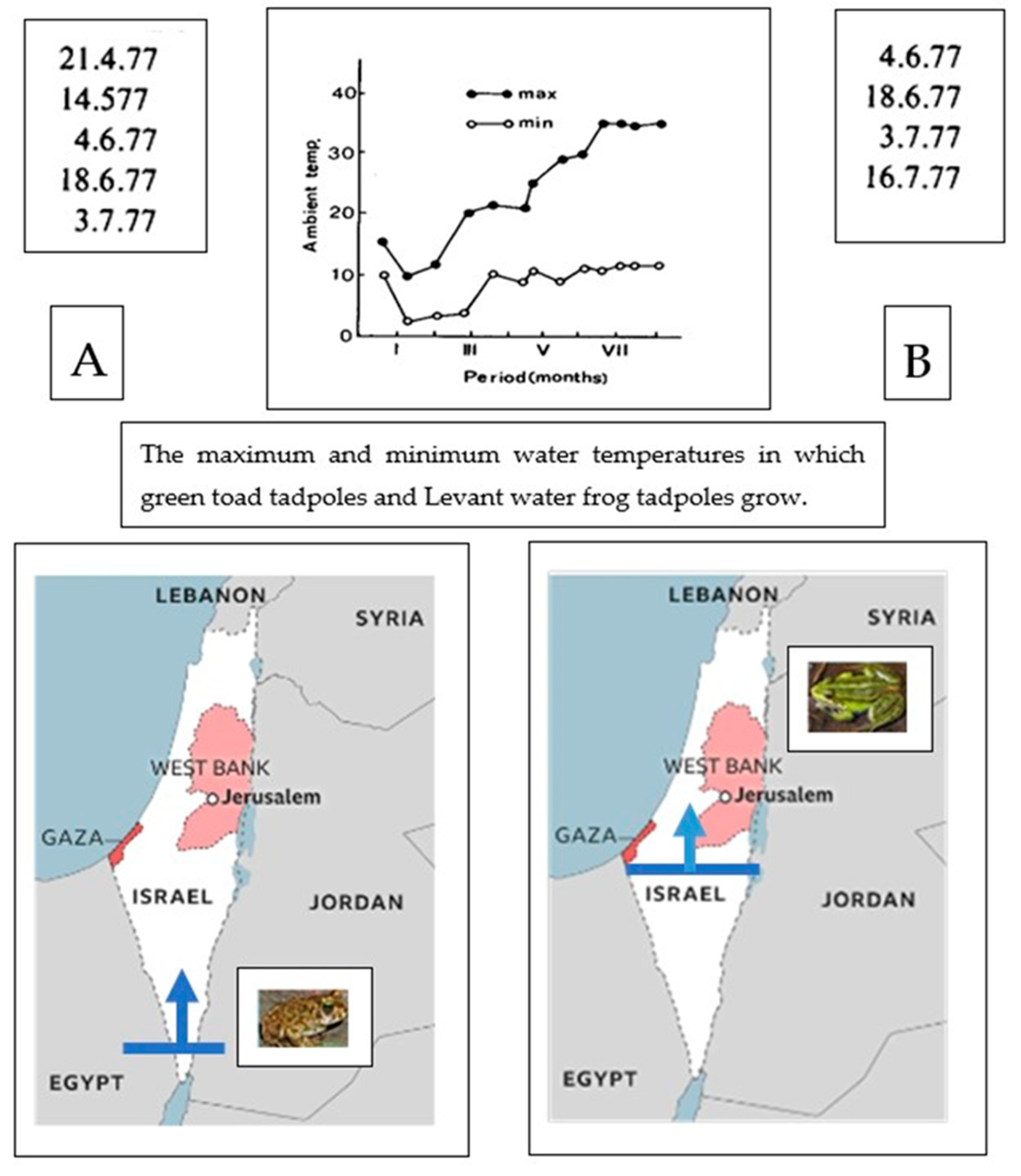 Animals 14 03351 g001