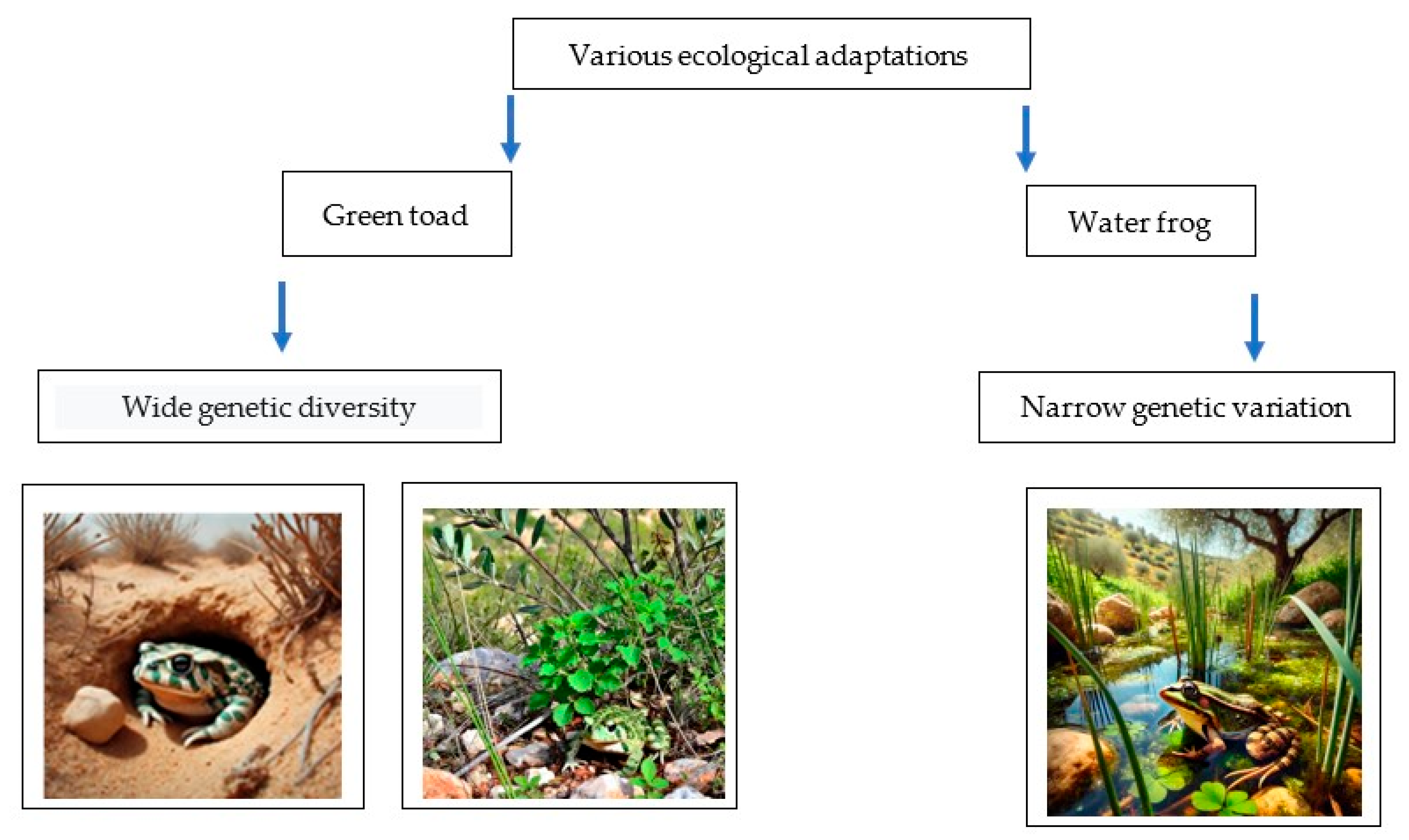 Animals 14 03351 g005