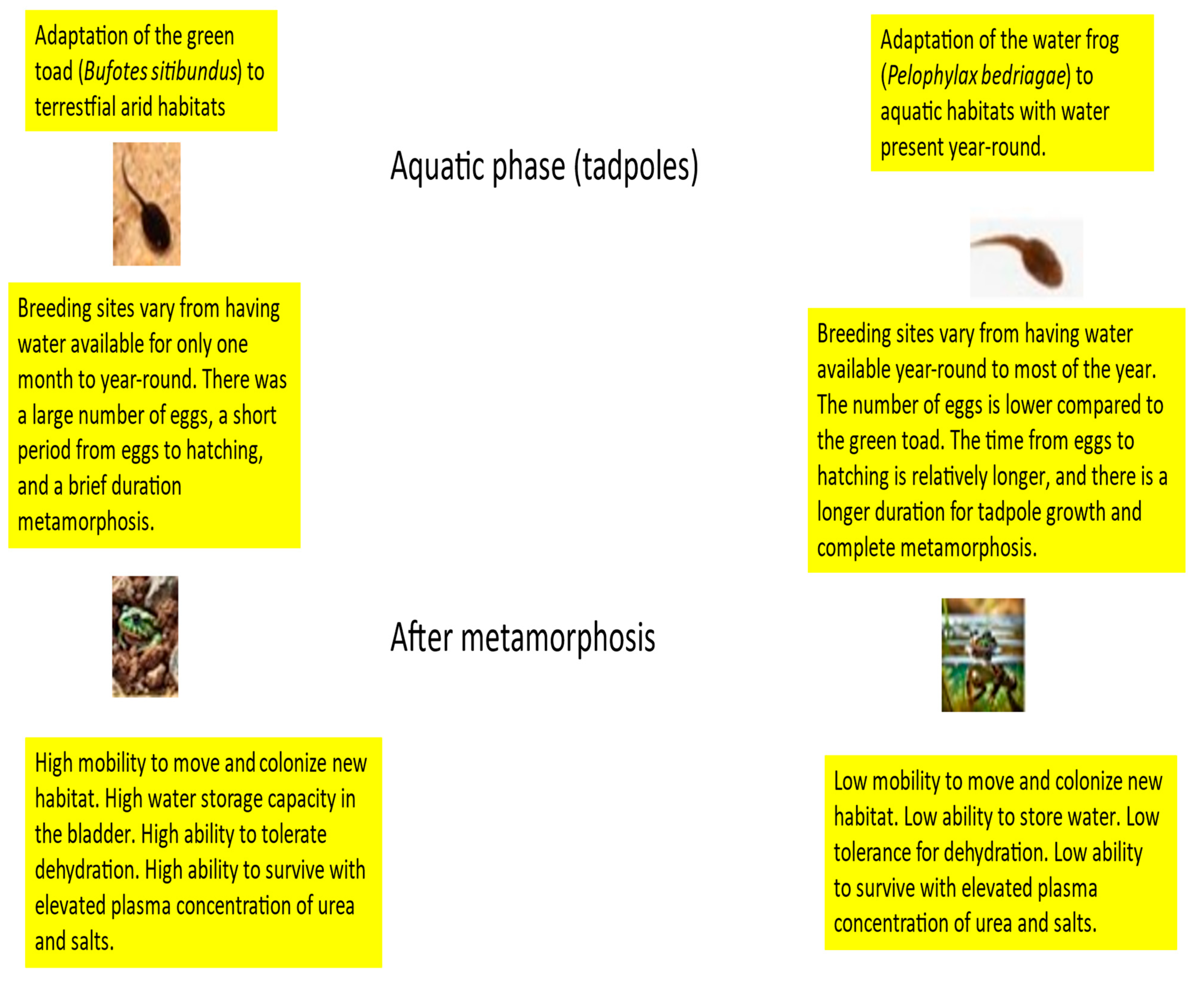 Animals 14 03351 g008