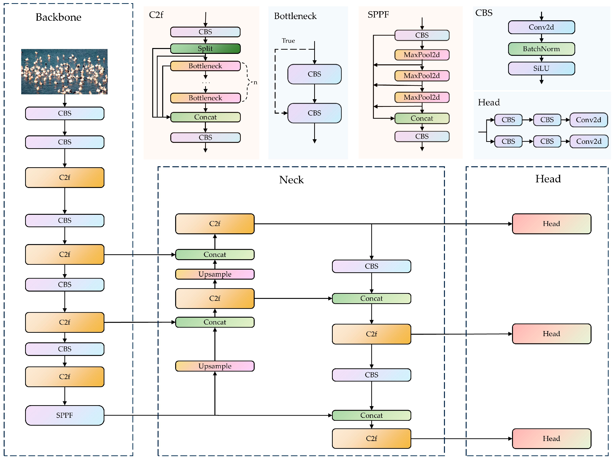 Animals 14 03353 g002