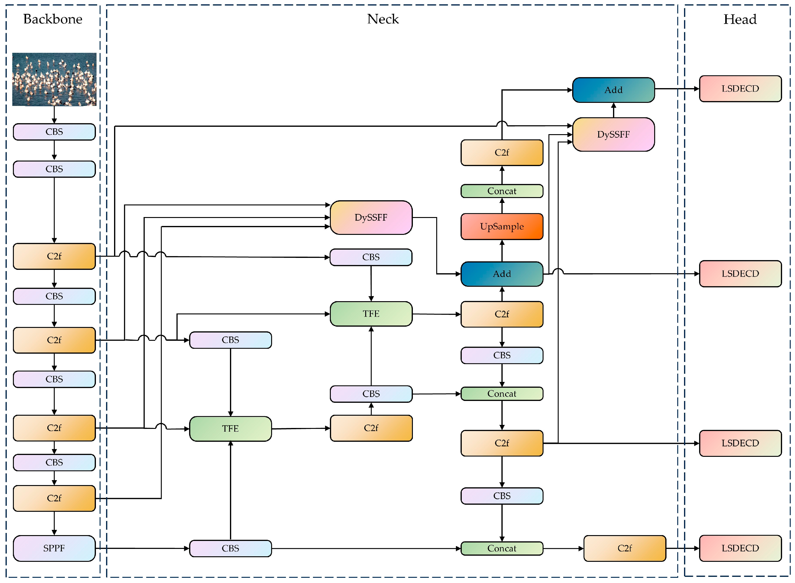 Animals 14 03353 g003