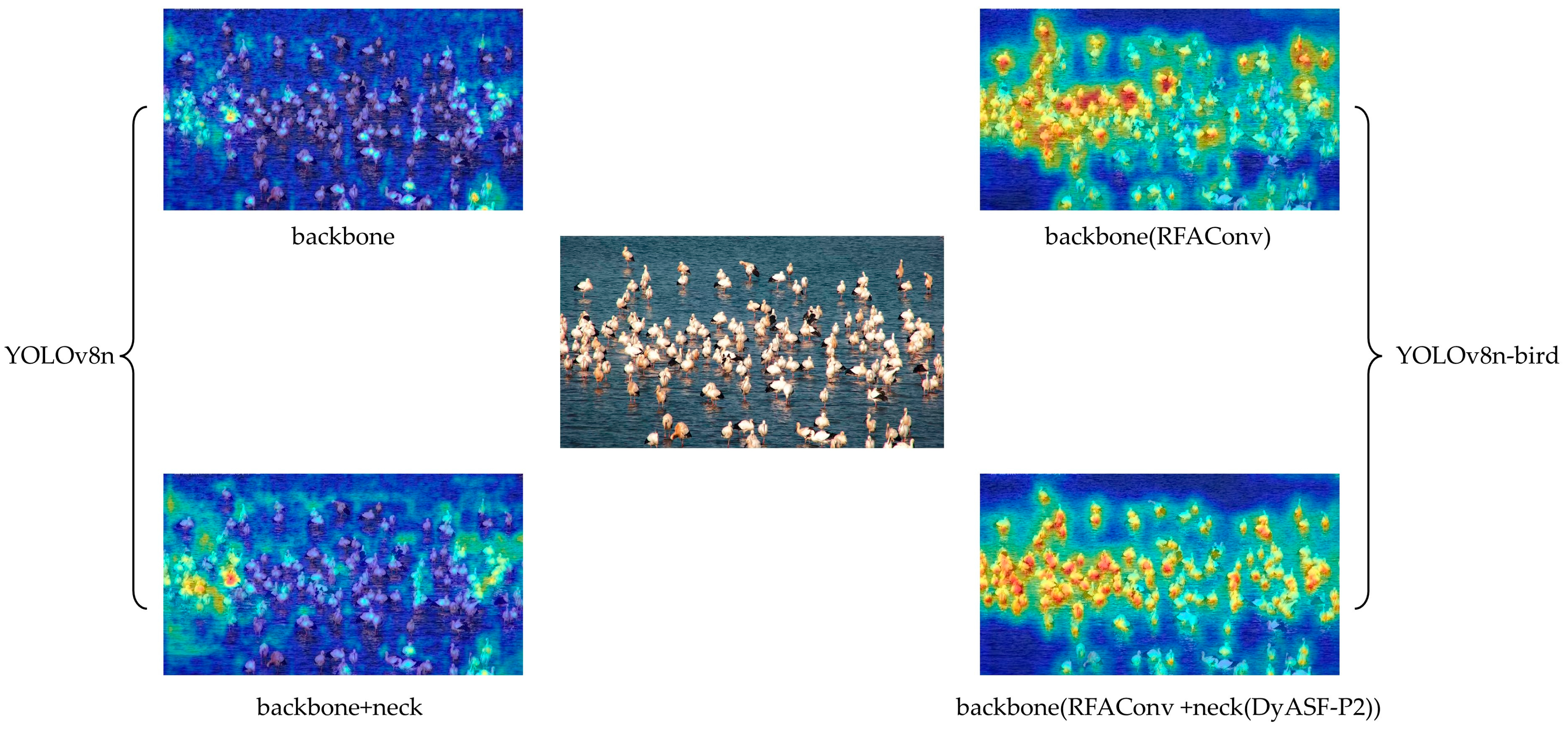 Animals 14 03353 g009