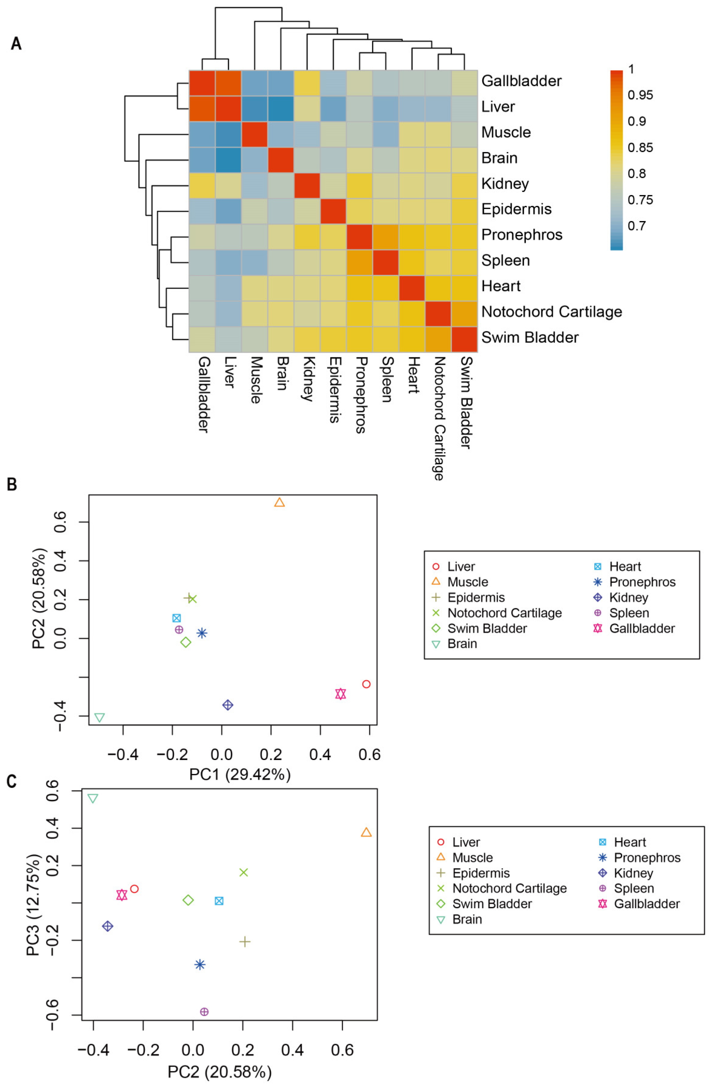 Animals 14 03357 g003