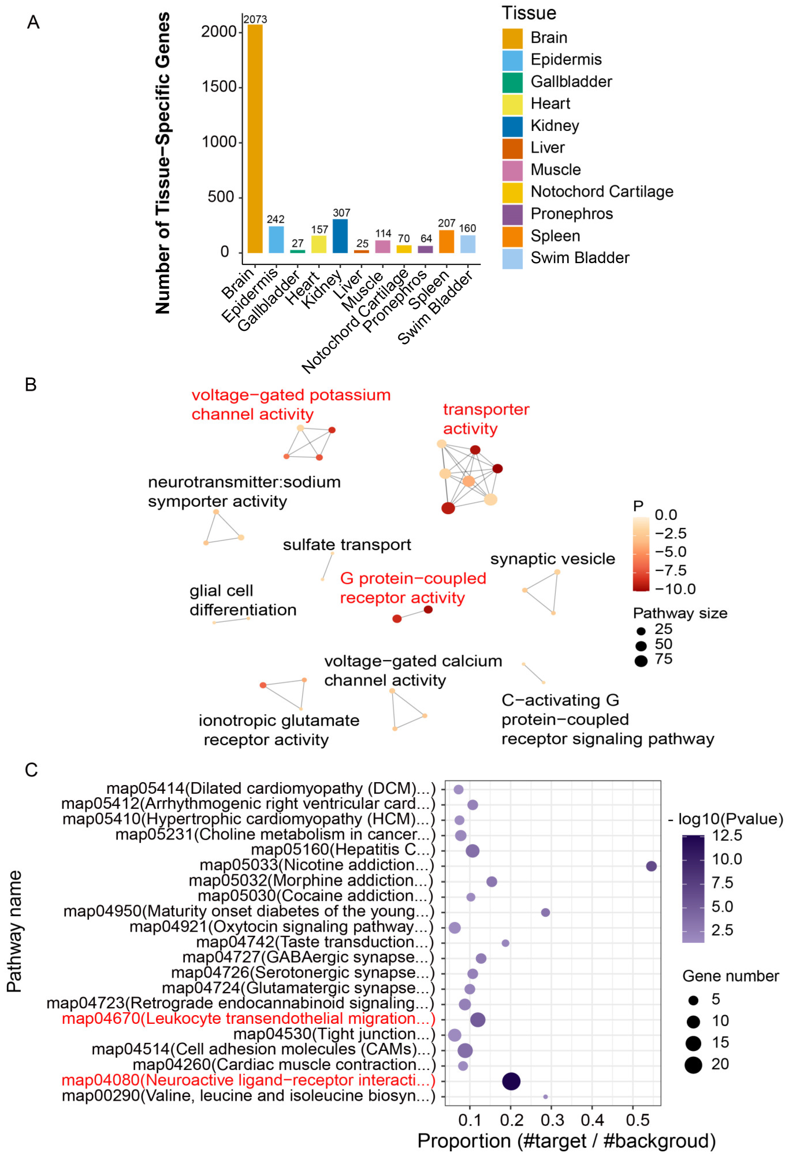 Animals 14 03357 g004