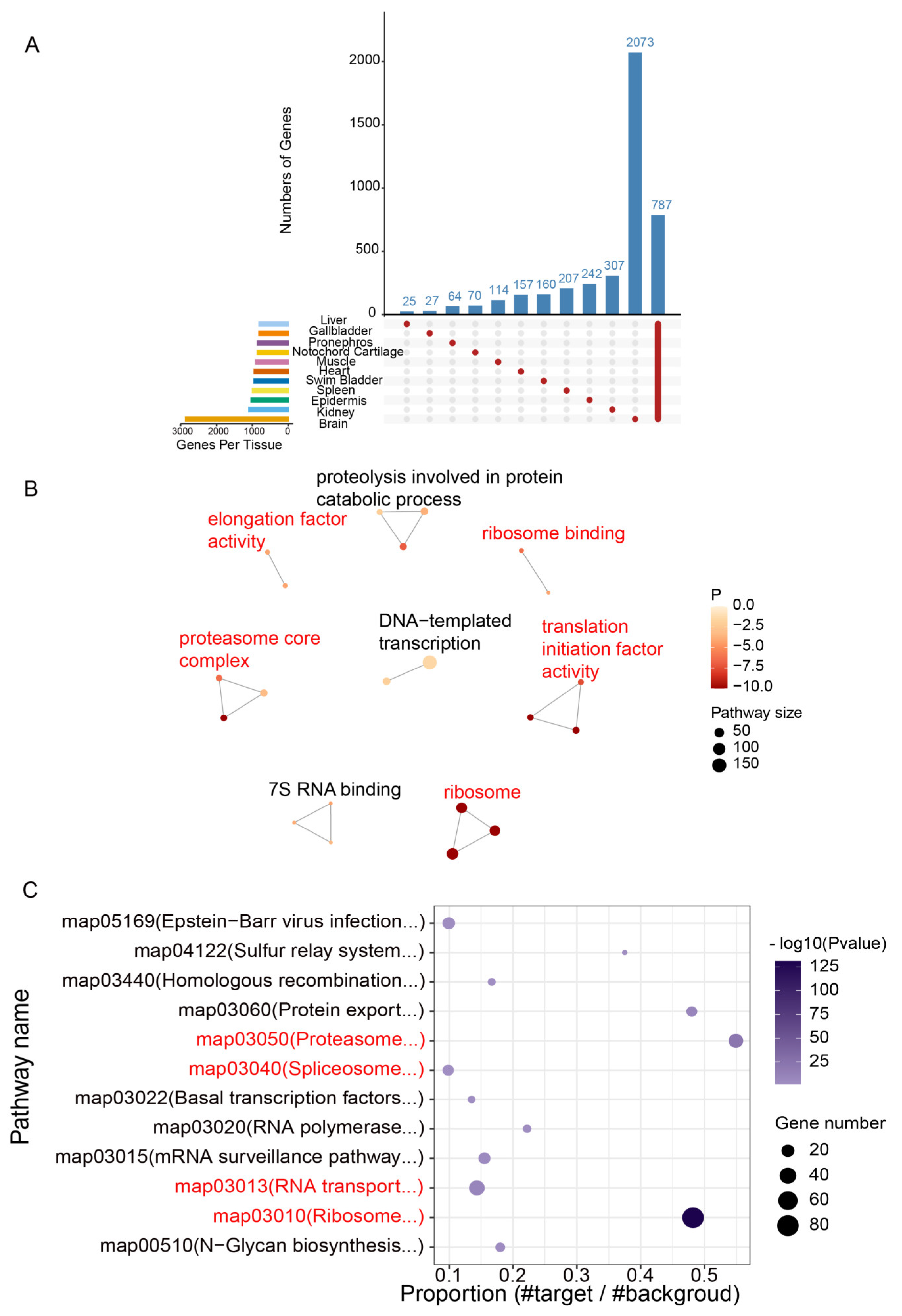 Animals 14 03357 g005