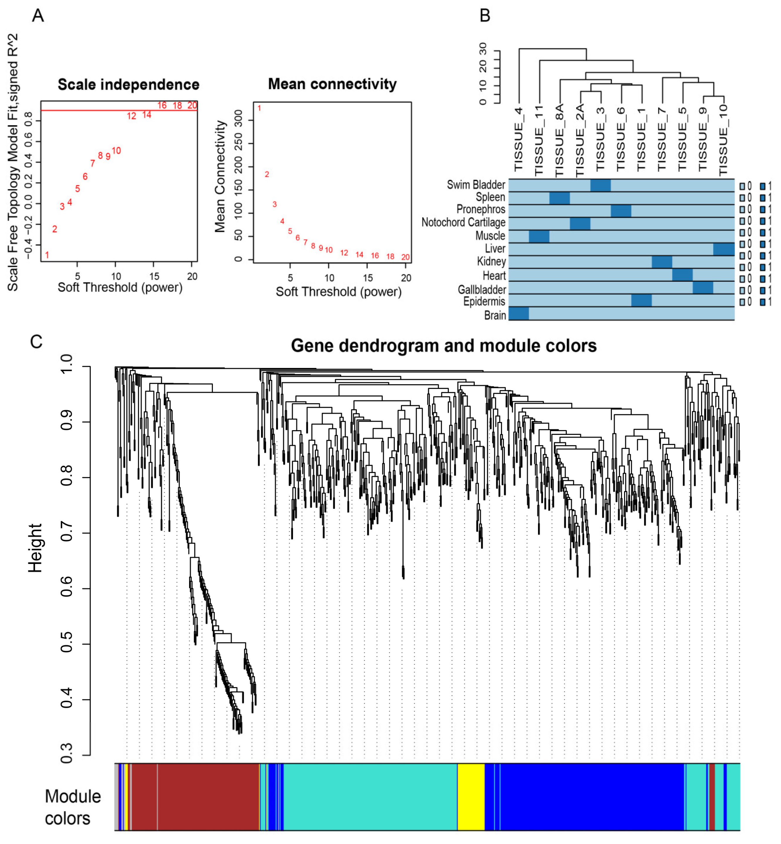 Animals 14 03357 g006