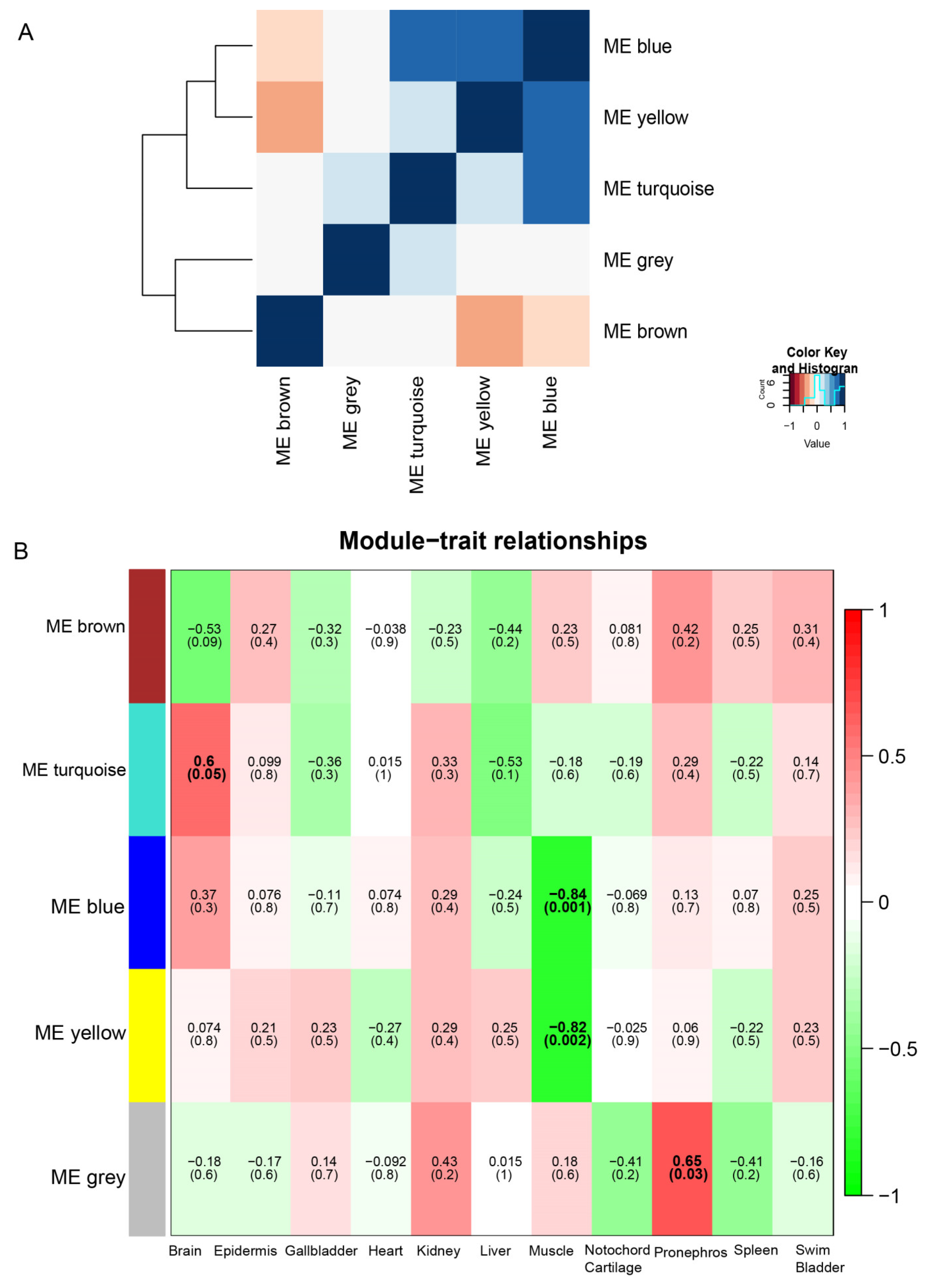 Animals 14 03357 g007