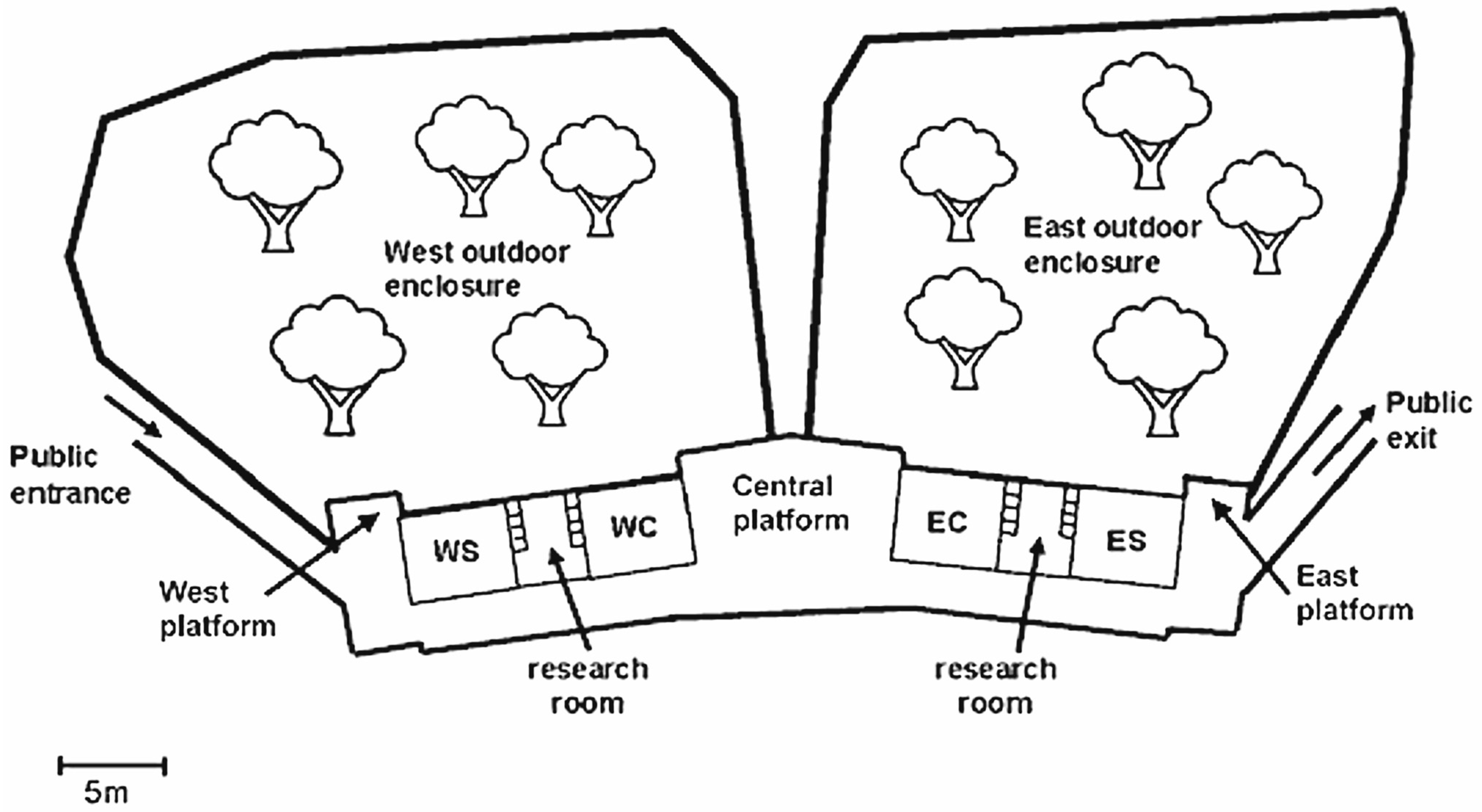 Animals 14 03360 g001