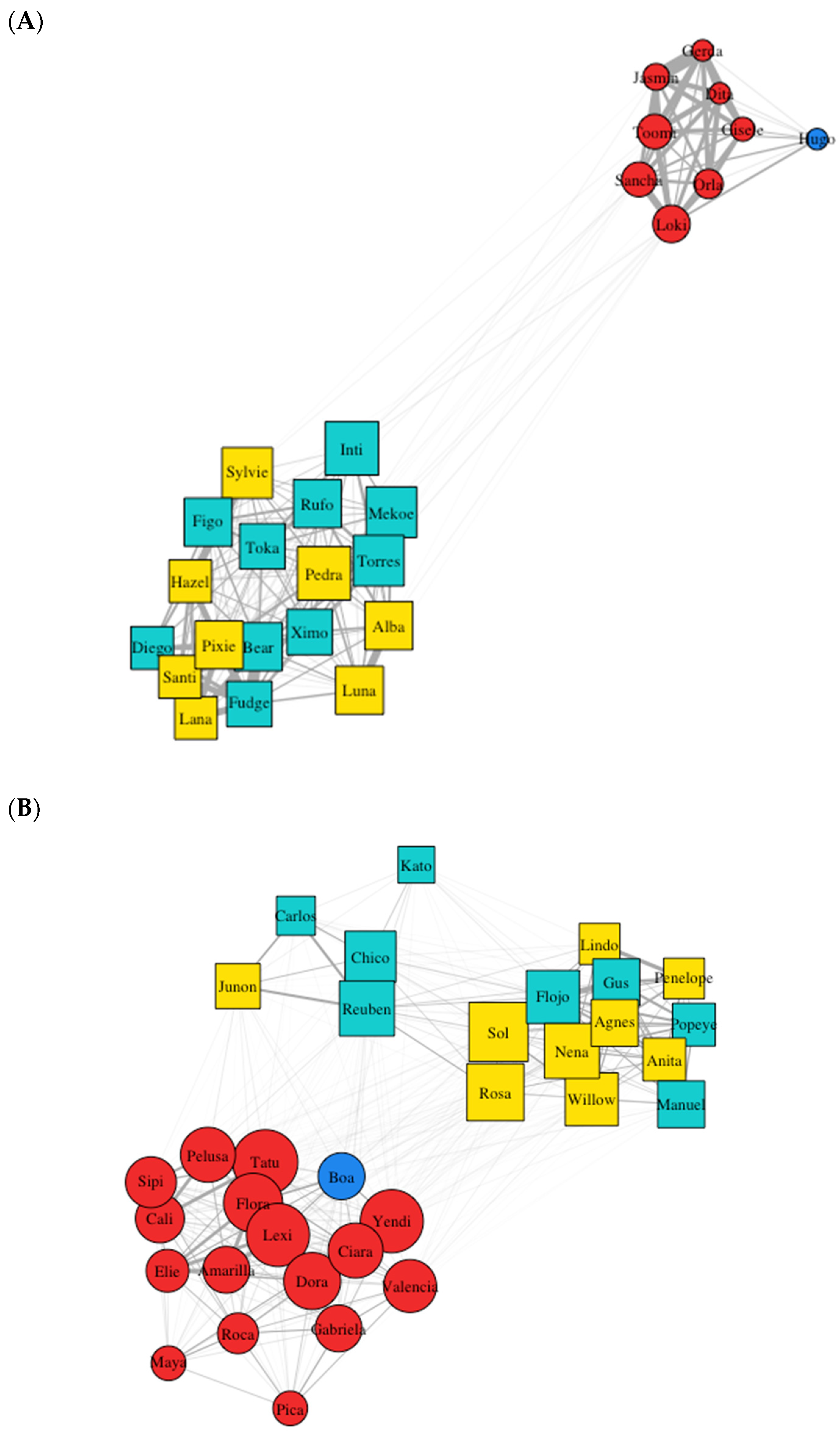 Animals 14 03360 g002