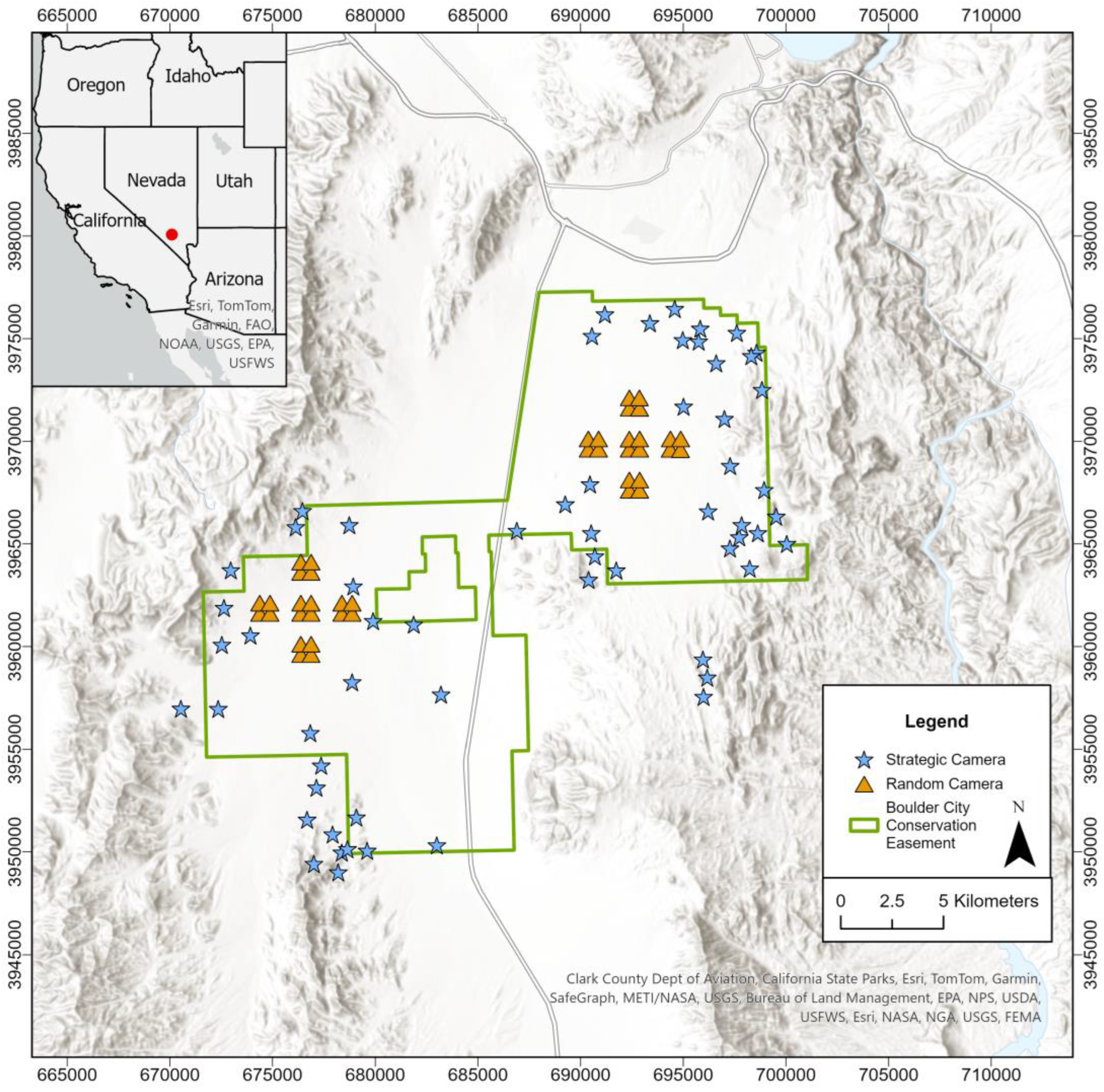 Animals 14 03361 g001