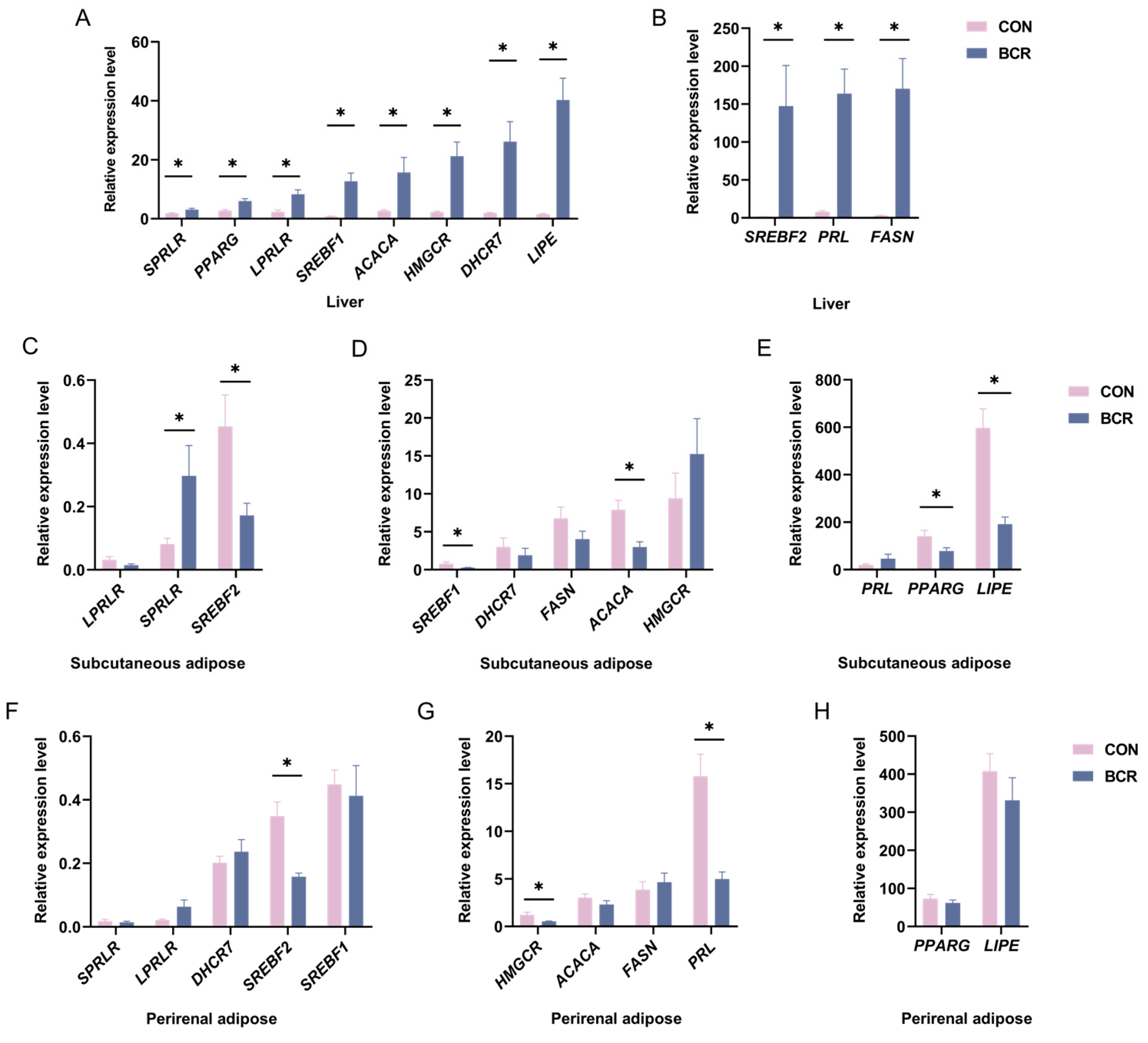 Animals 14 03364 g003