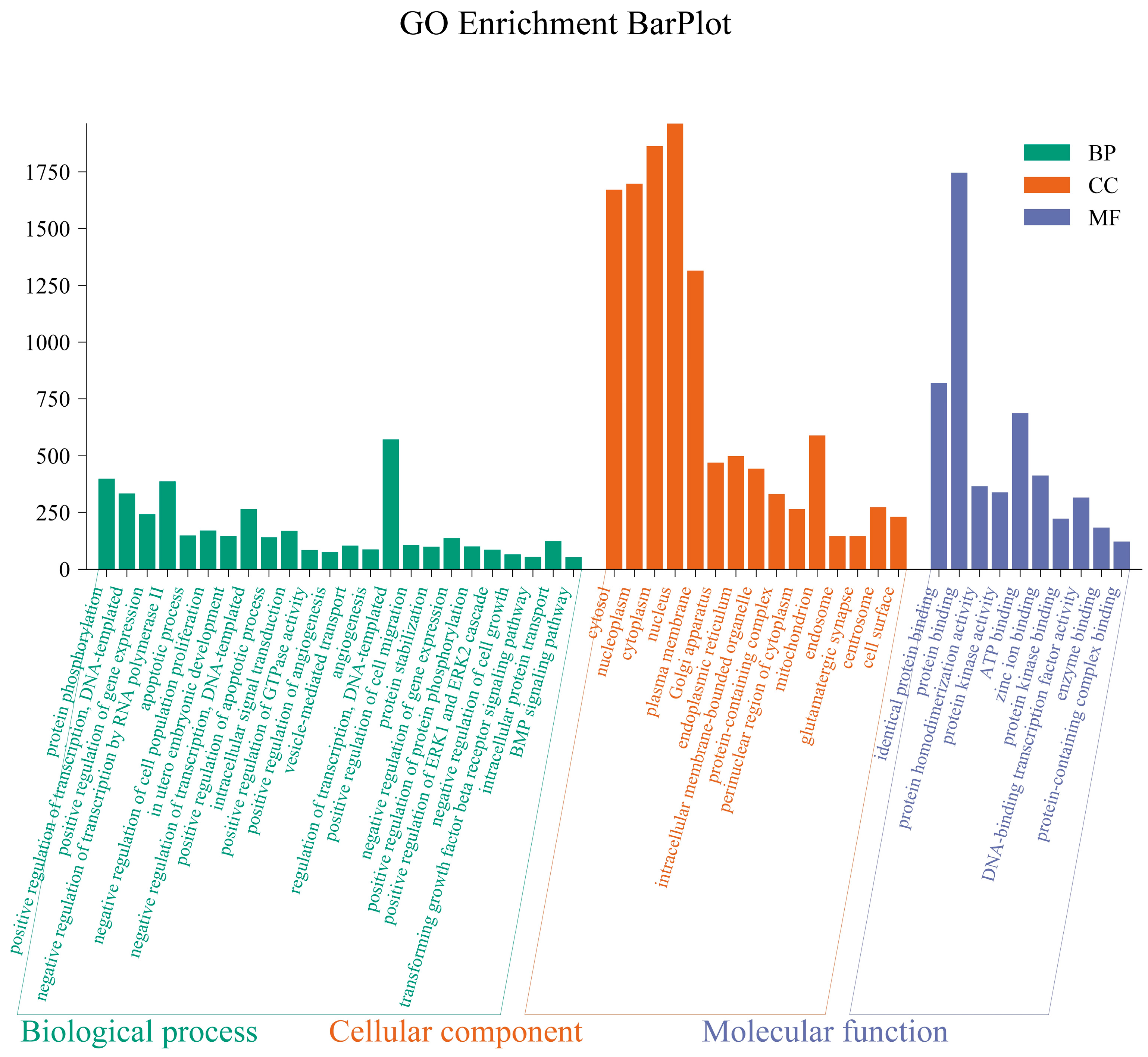 Animals 14 03367 g005