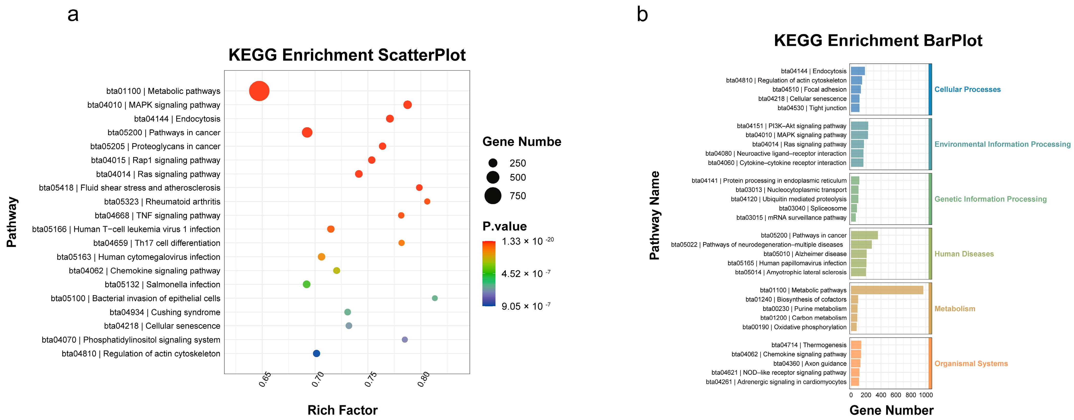 Animals 14 03367 g006