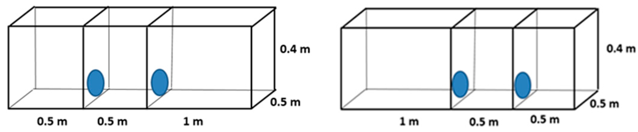 Animals 14 03368 g002