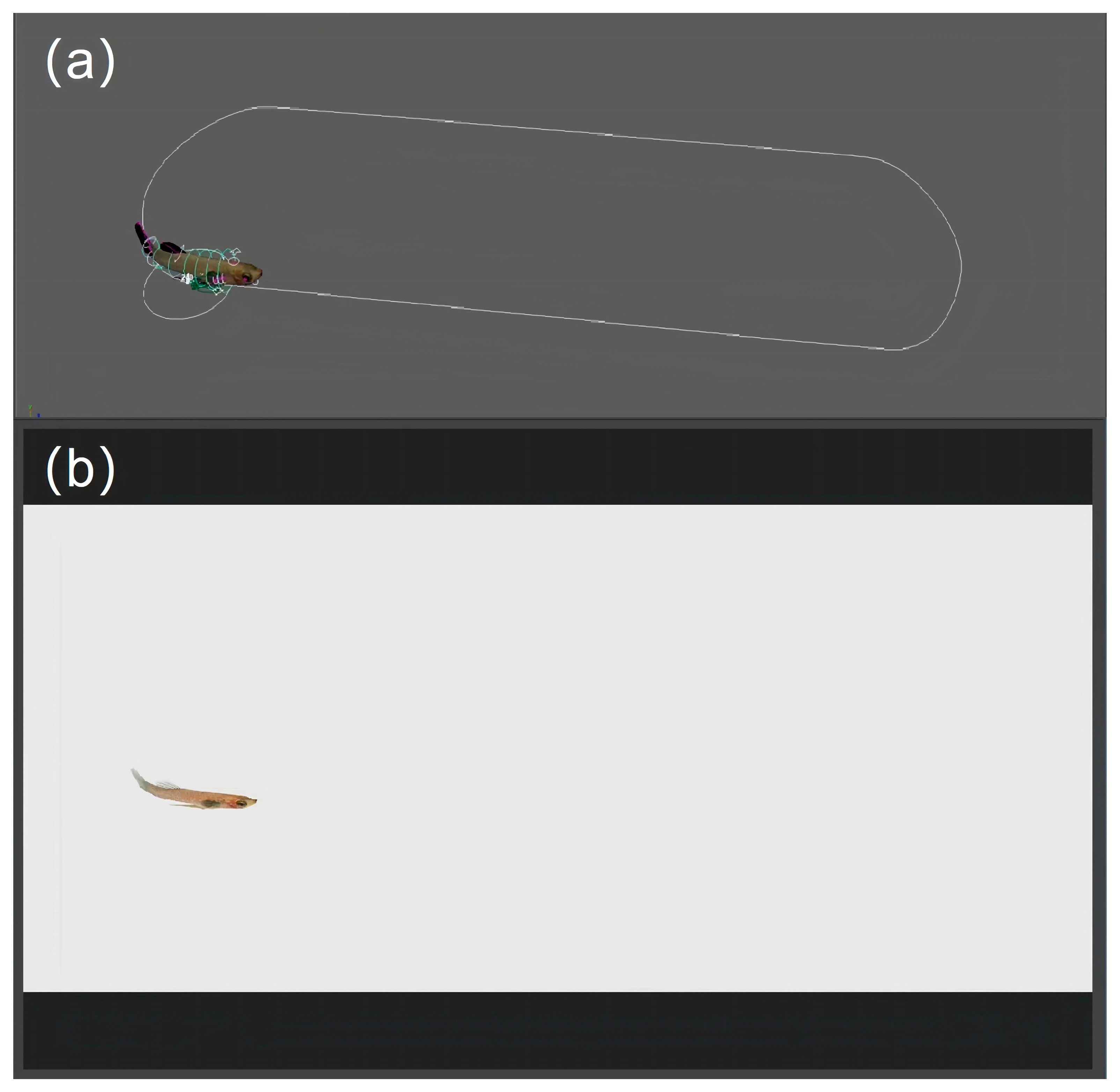 Animals 14 03369 g004 Animals 14 03369 g004