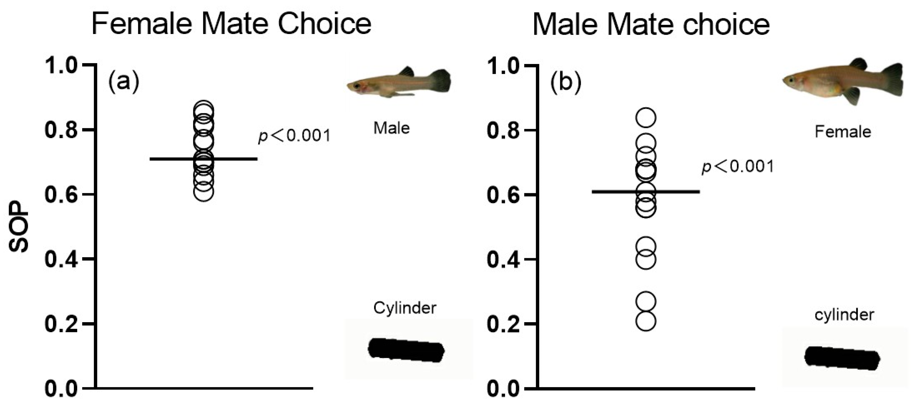 Animals 14 03369 g006 Animals 14 03369 g006