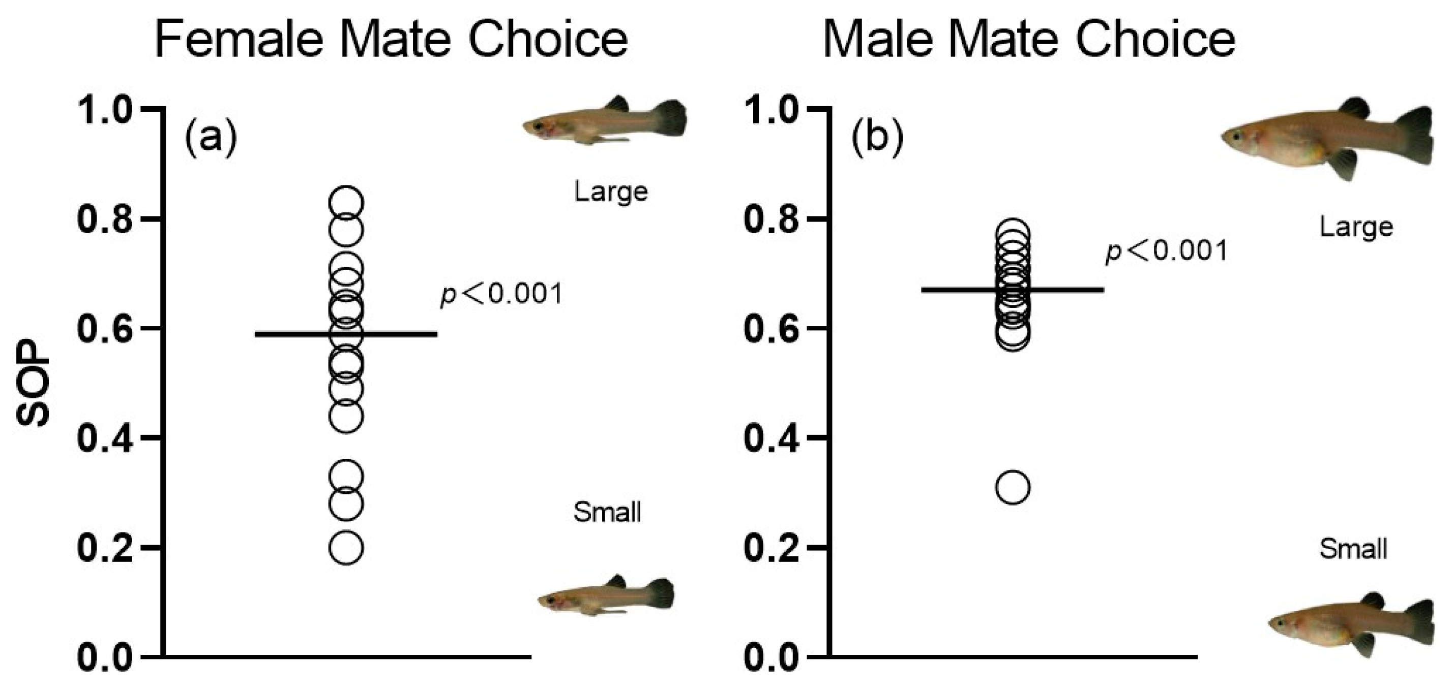 Animals 14 03369 g007 Animals 14 03369 g007