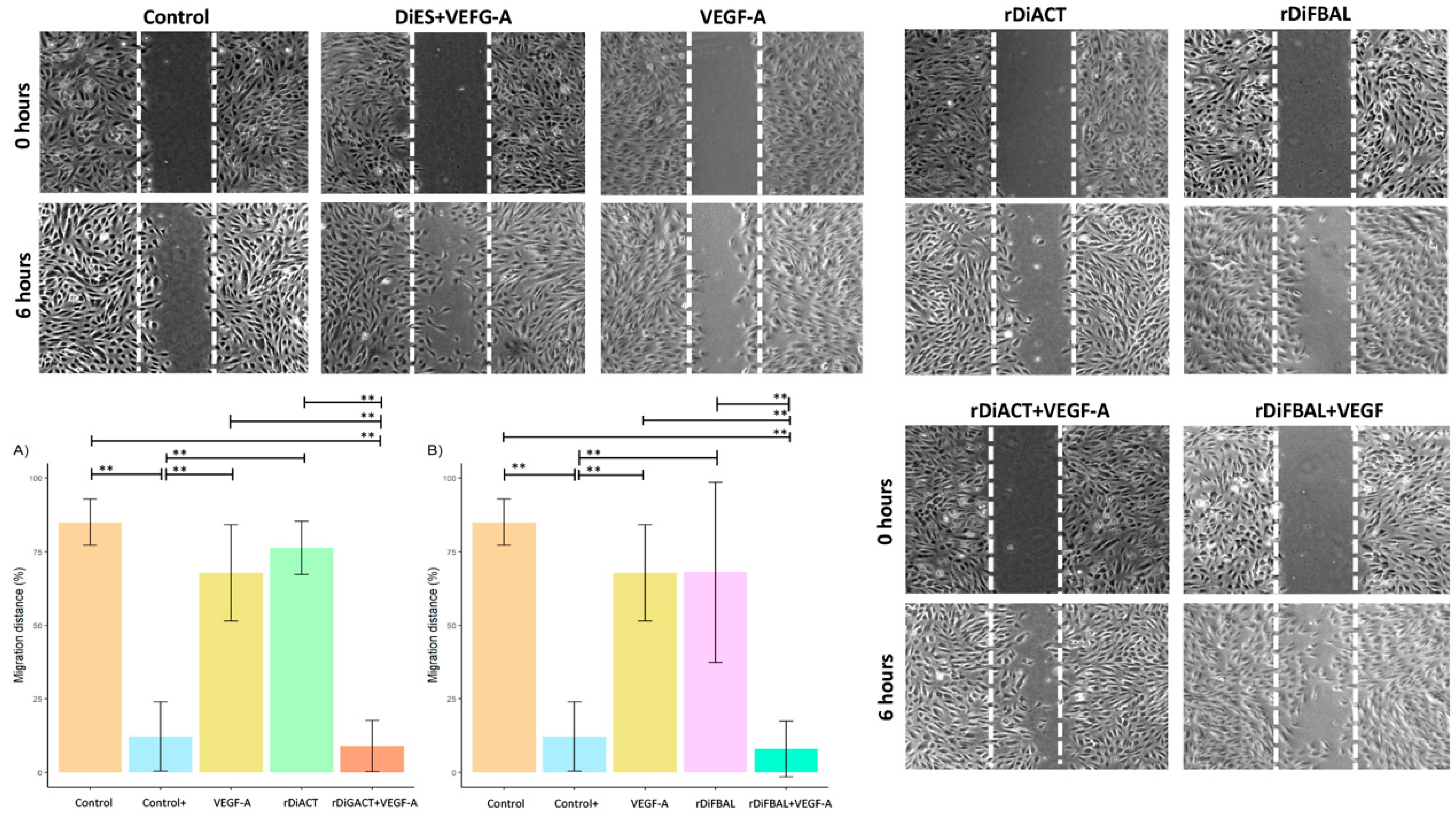 Animals 14 03371 g007