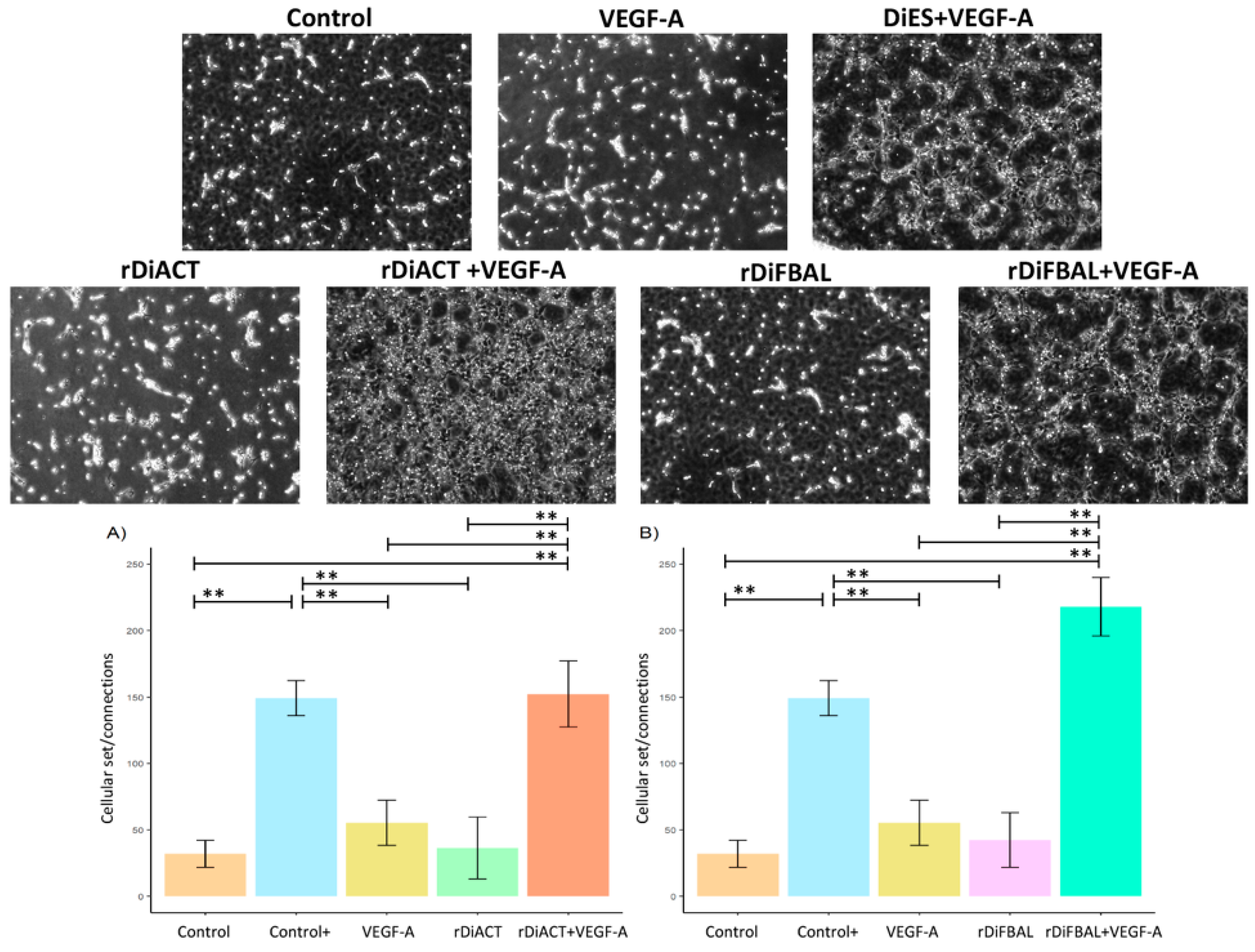 Animals 14 03371 g008