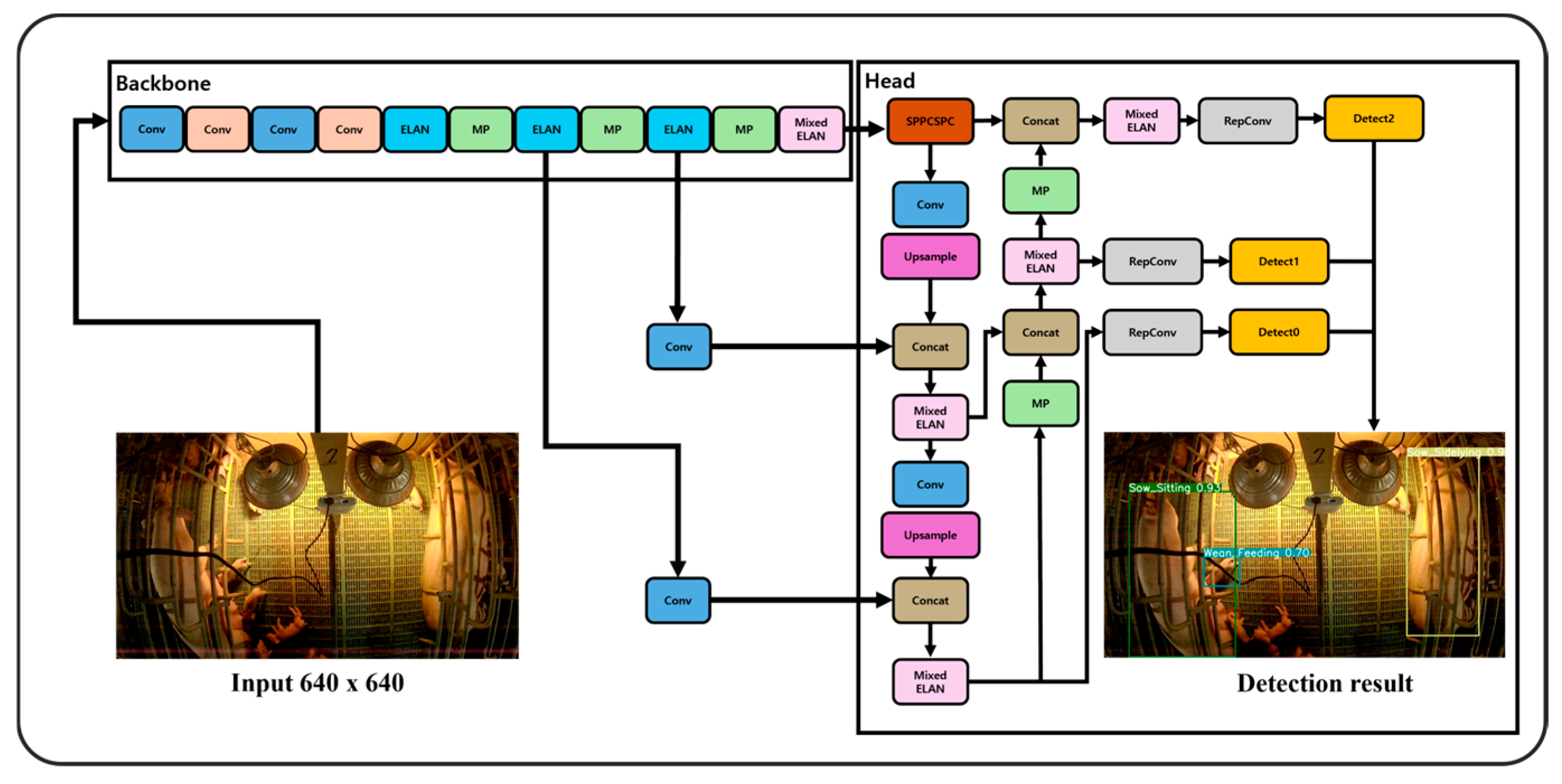 Animals 14 03375 g005