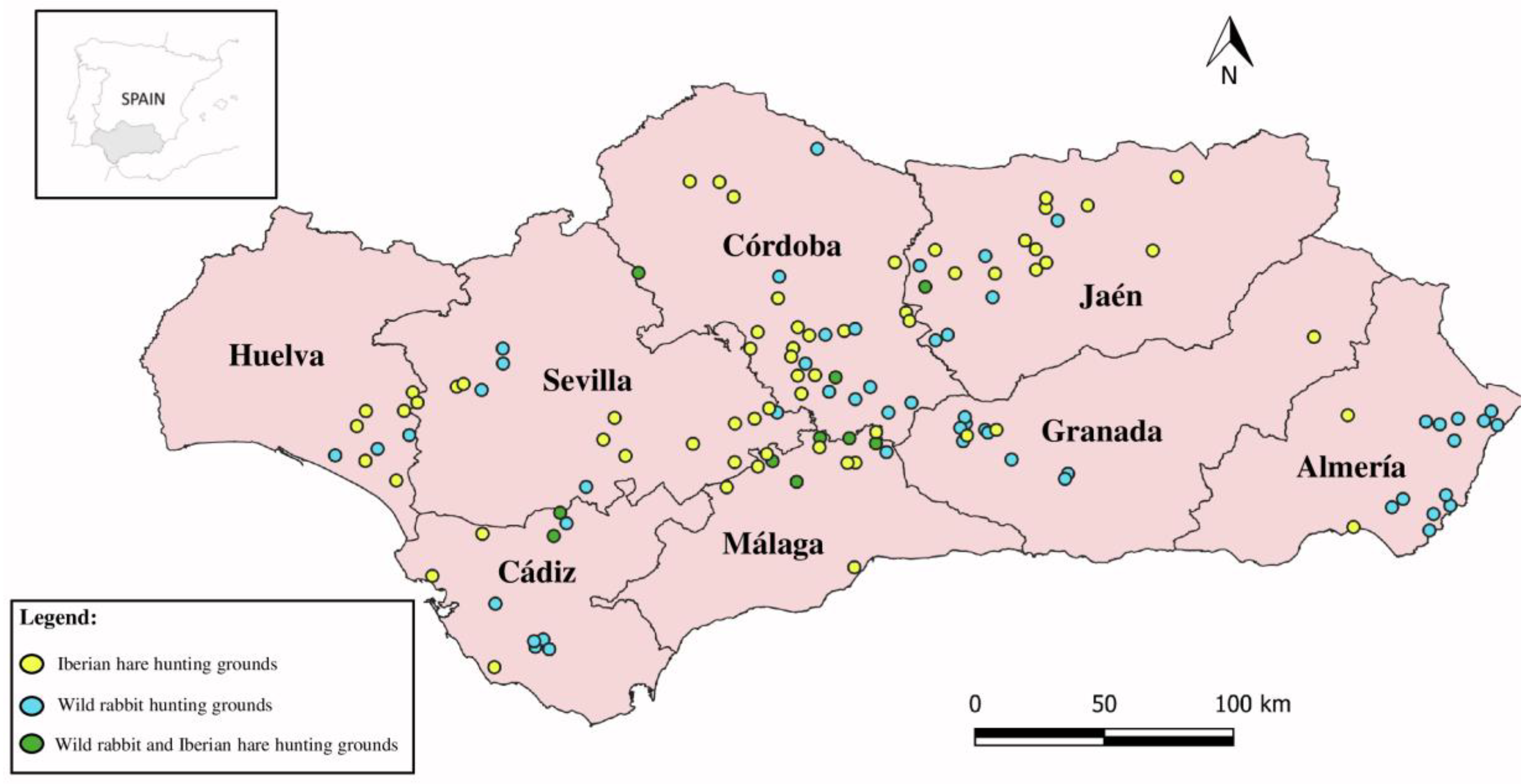 Animals 14 03376 g001