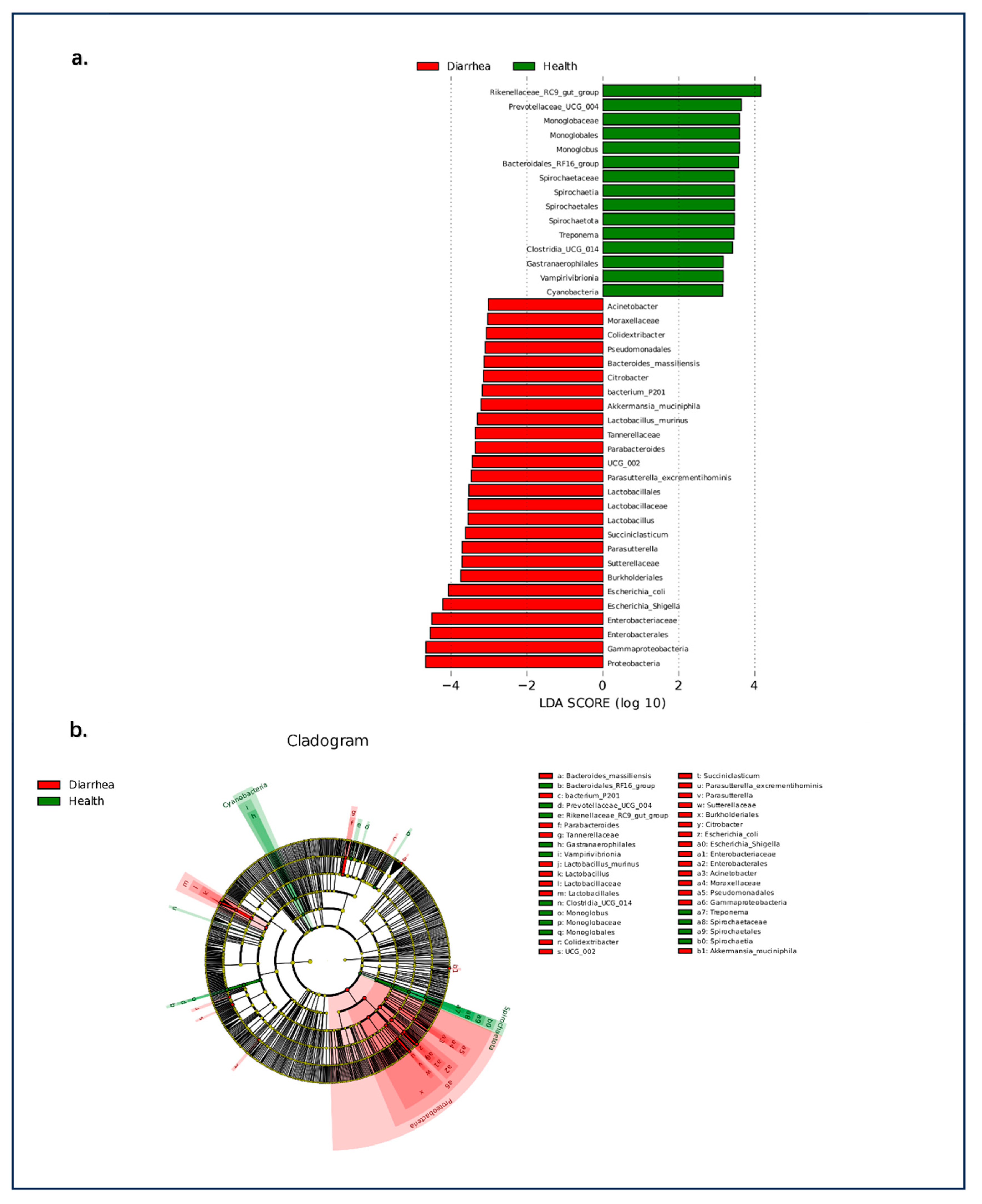 Animals 14 03379 g007
