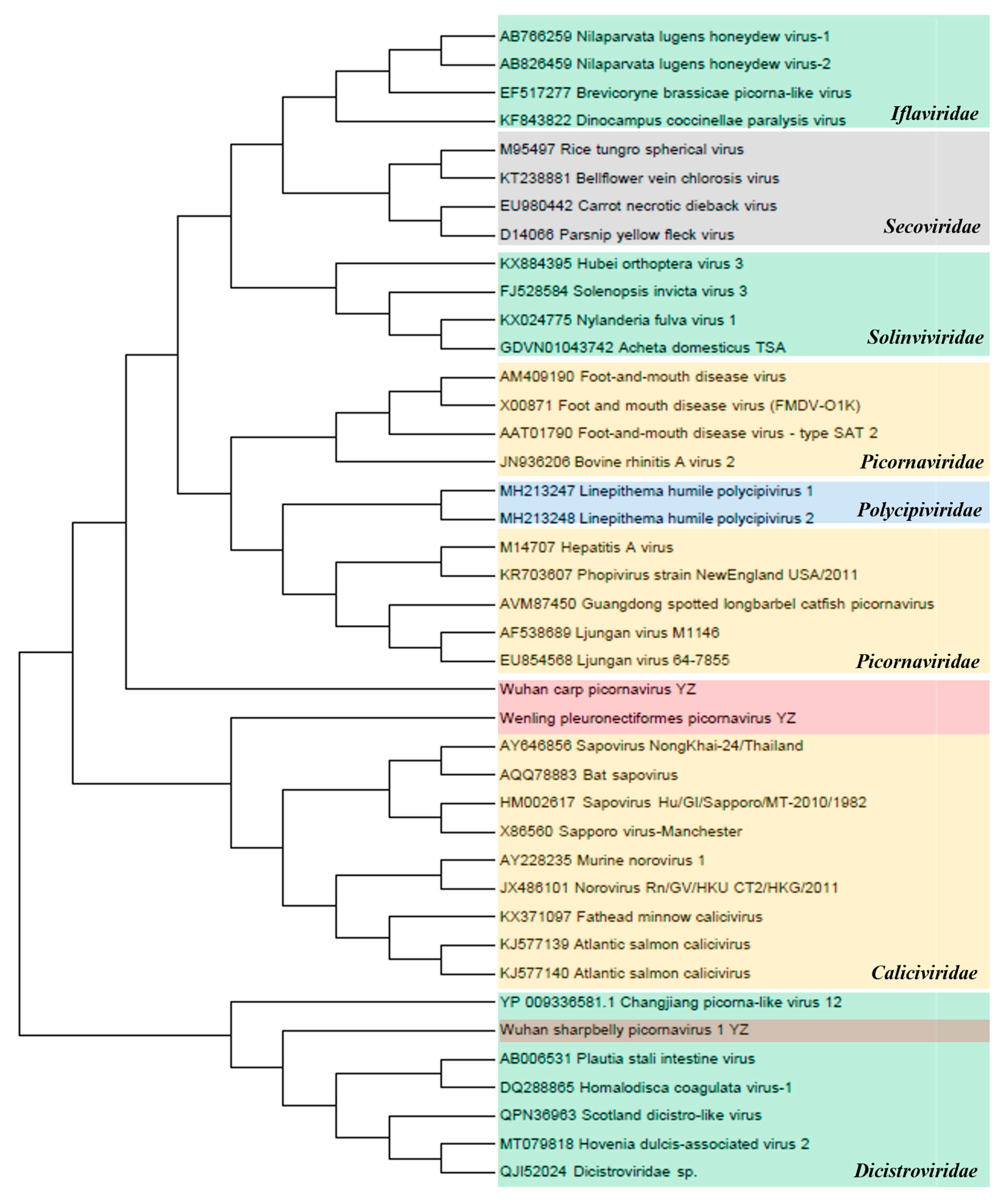 Animals 14 03386 g006