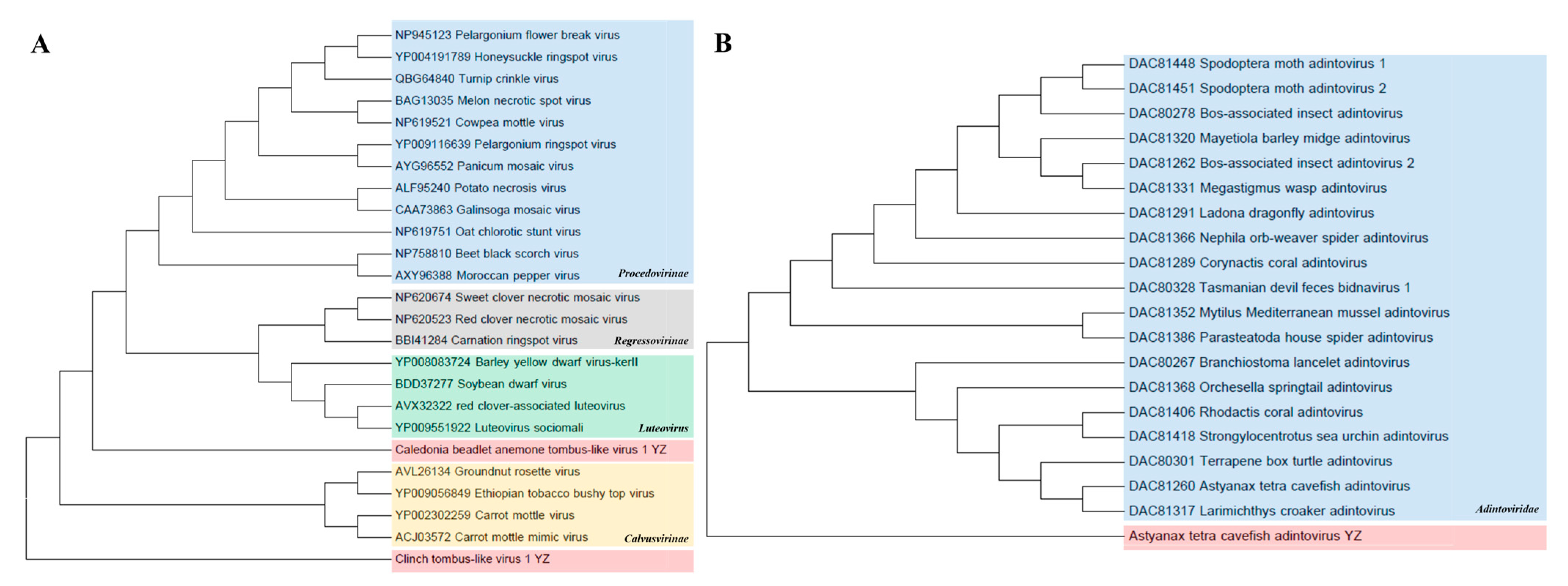 Animals 14 03386 g008