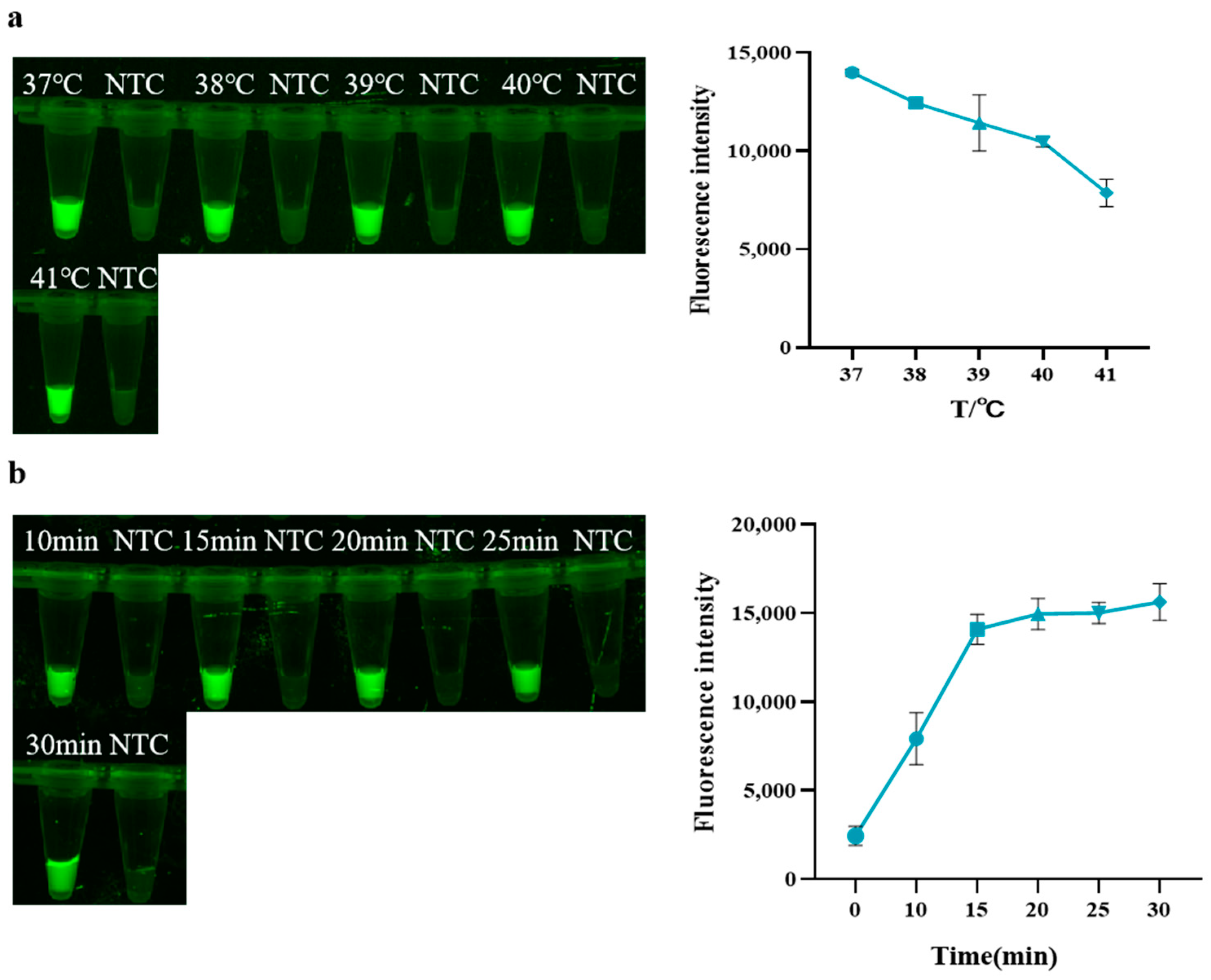 Animals 14 03387 g002