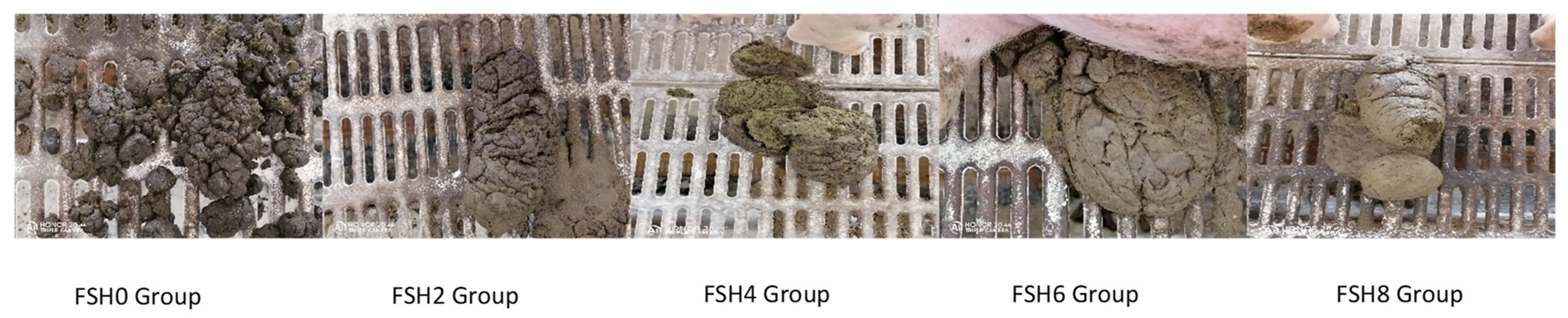 Animals 14 03389 g001