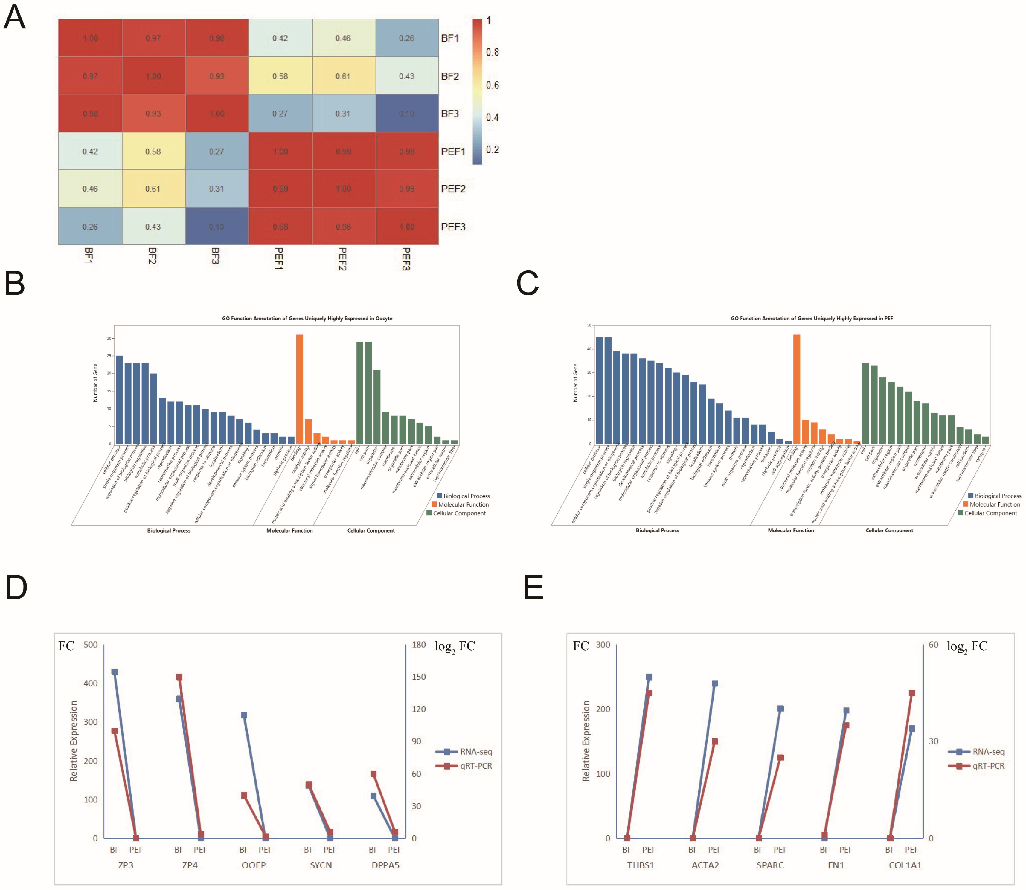 Animals 14 03392 g004