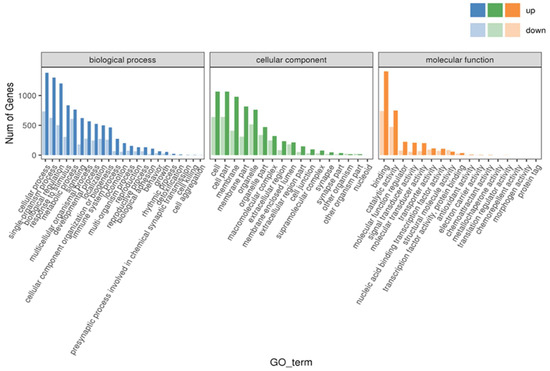 テレビ T-grade Enhancing antibacterial capability and osseointegration of