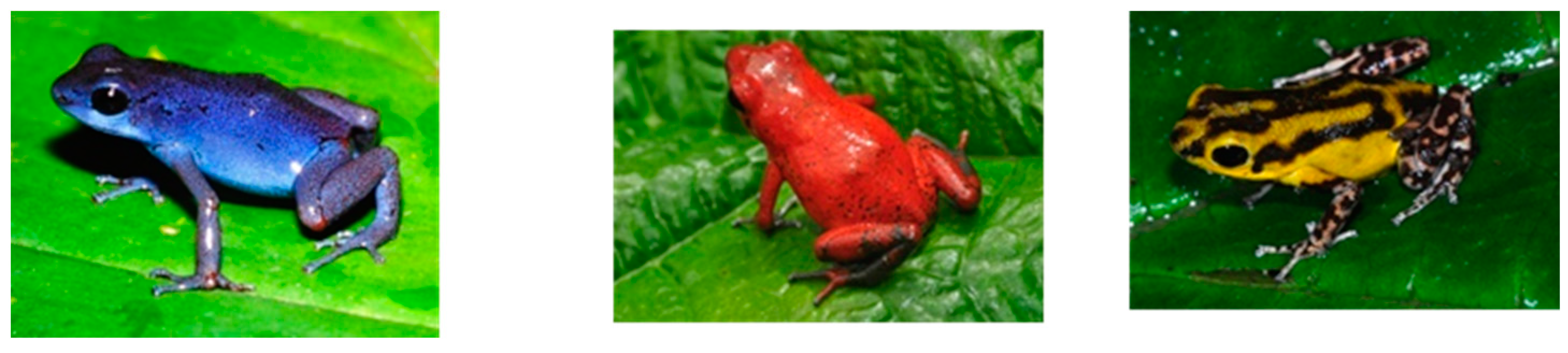 Animals 14 03395 g005 Animals 14 03395 g005