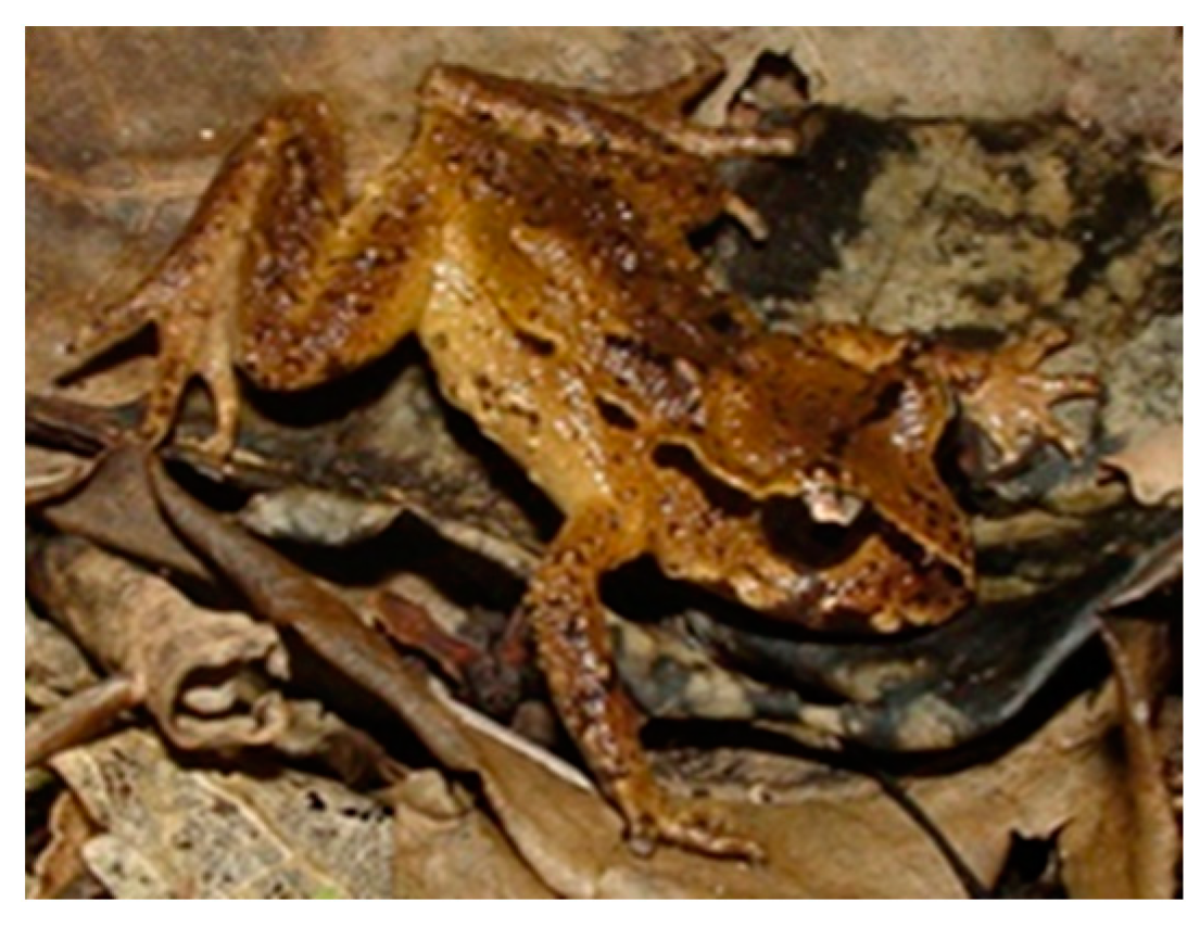 Animals 14 03395 g006 Animals 14 03395 g006