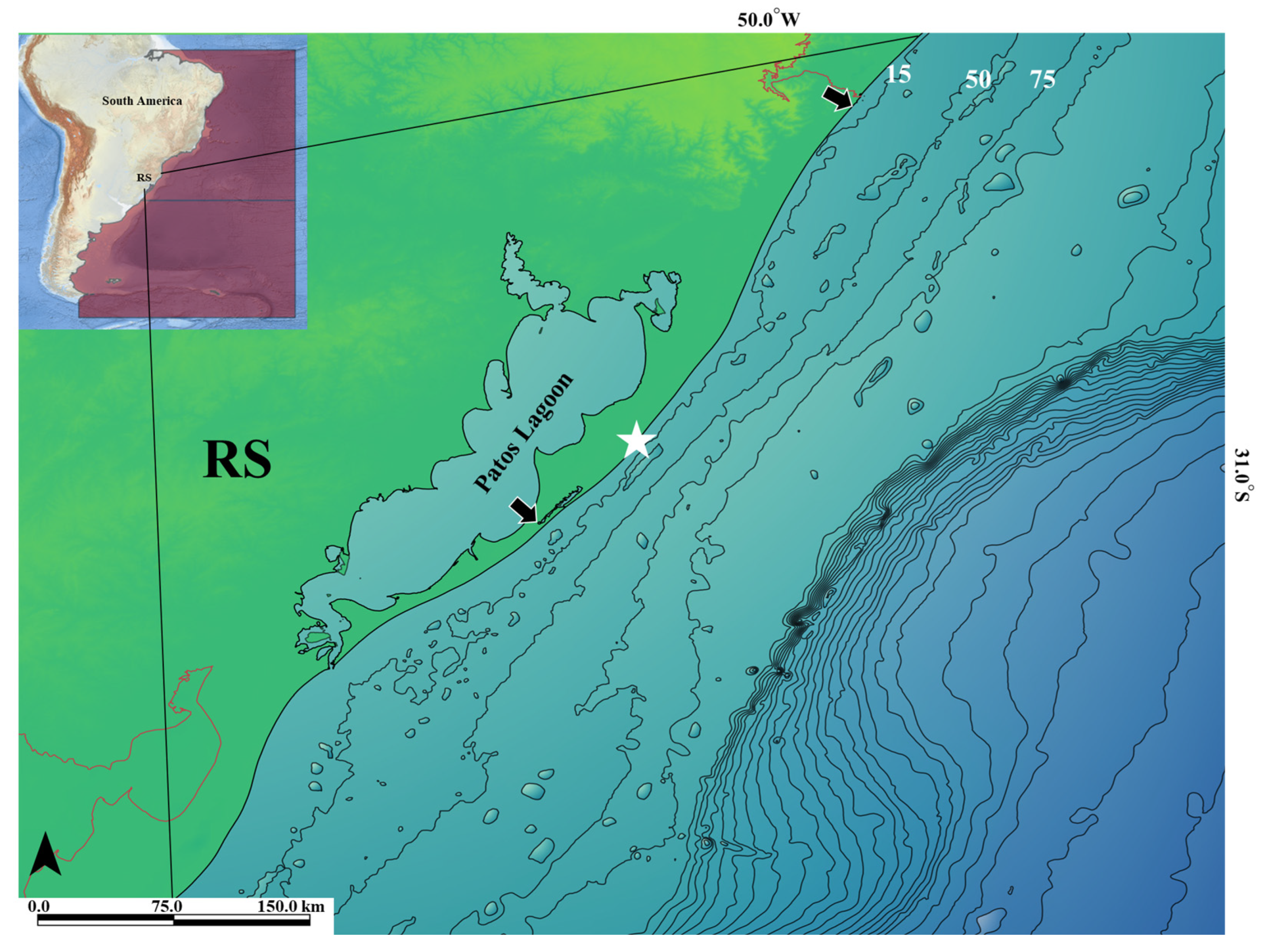 Animals 14 03396 g001