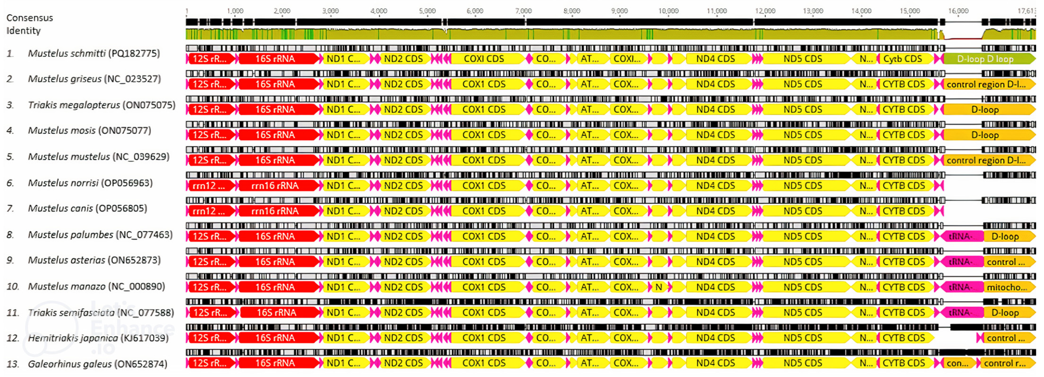 Animals 14 03396 g003