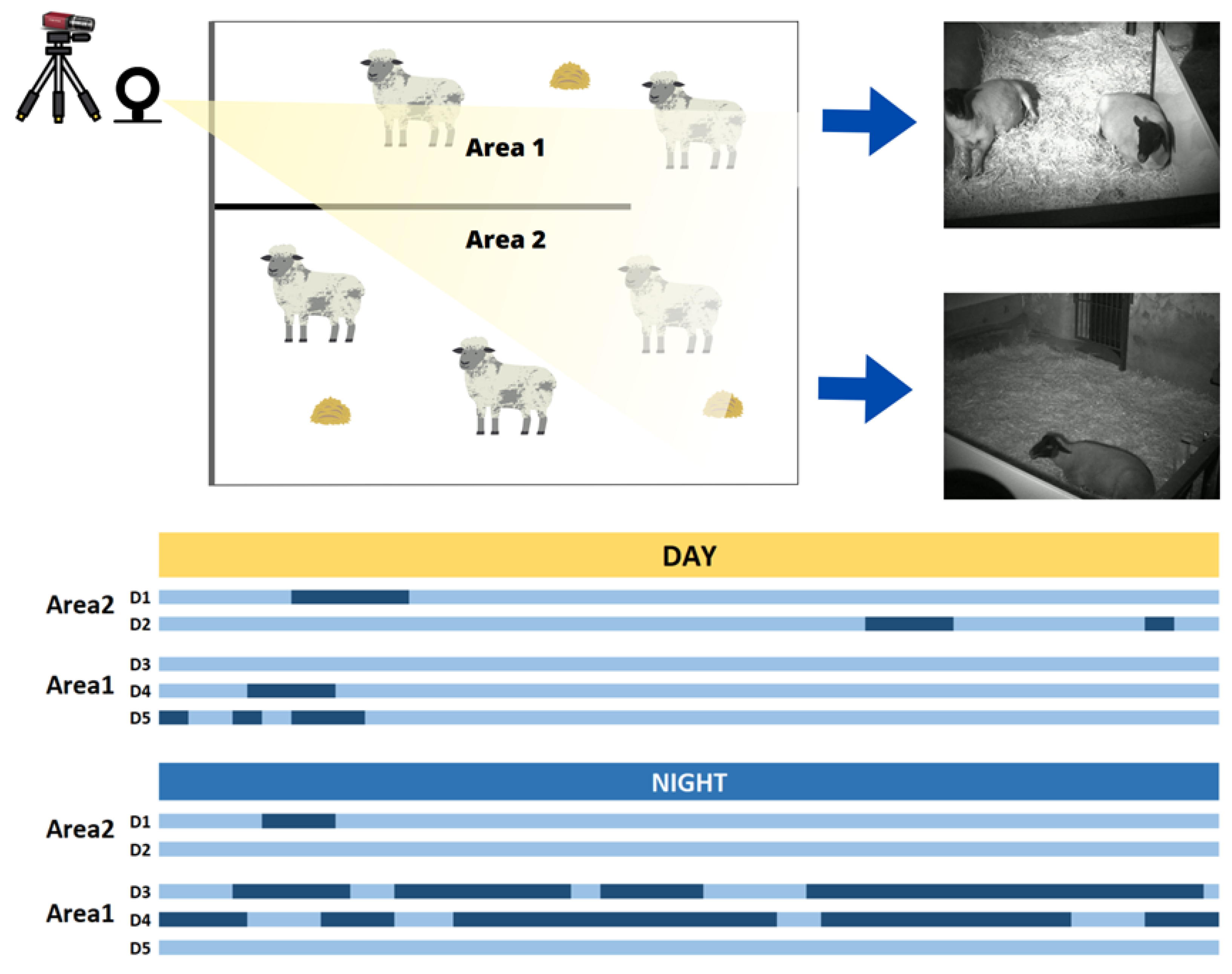 Animals 14 03398 g003