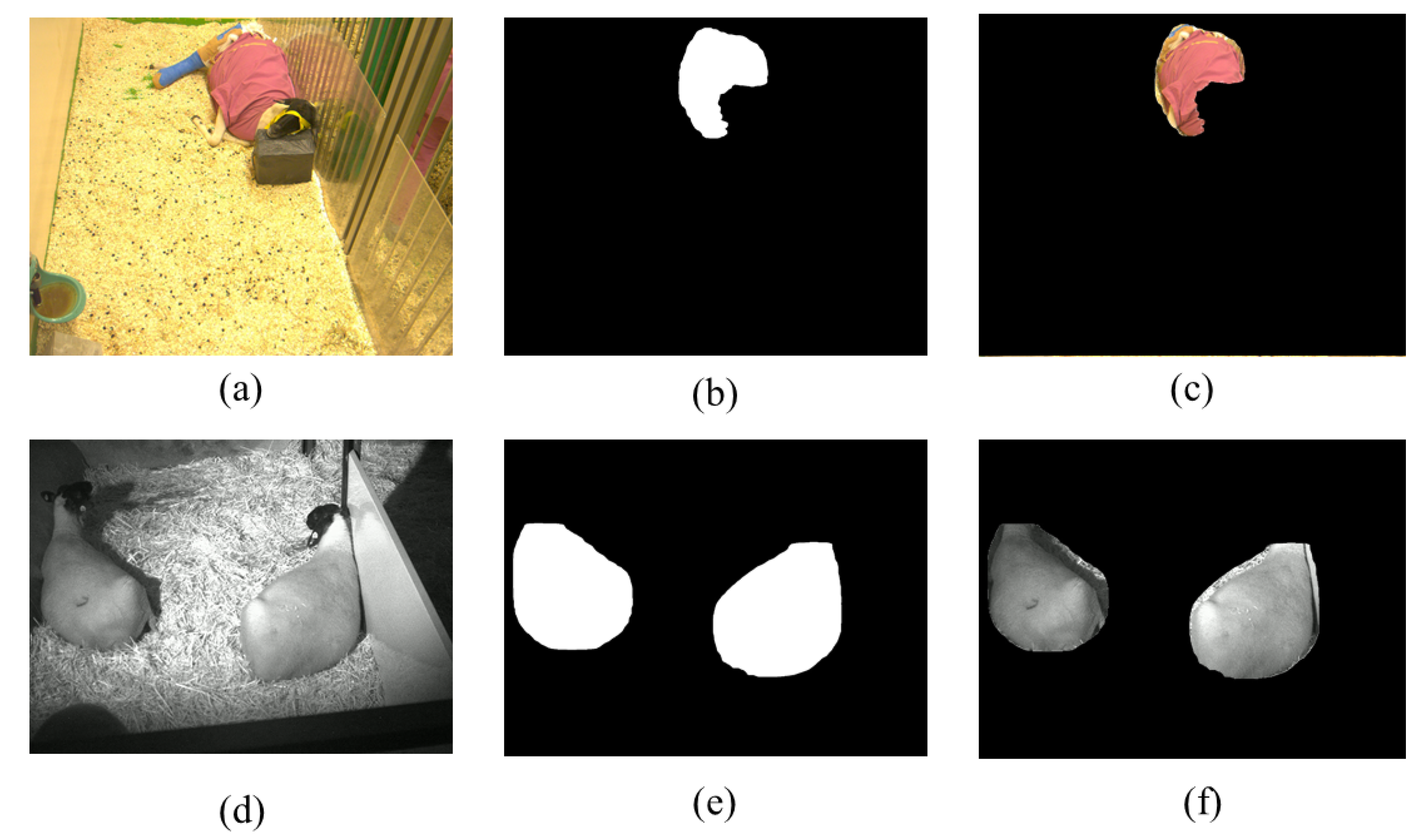 Animals 14 03398 g007