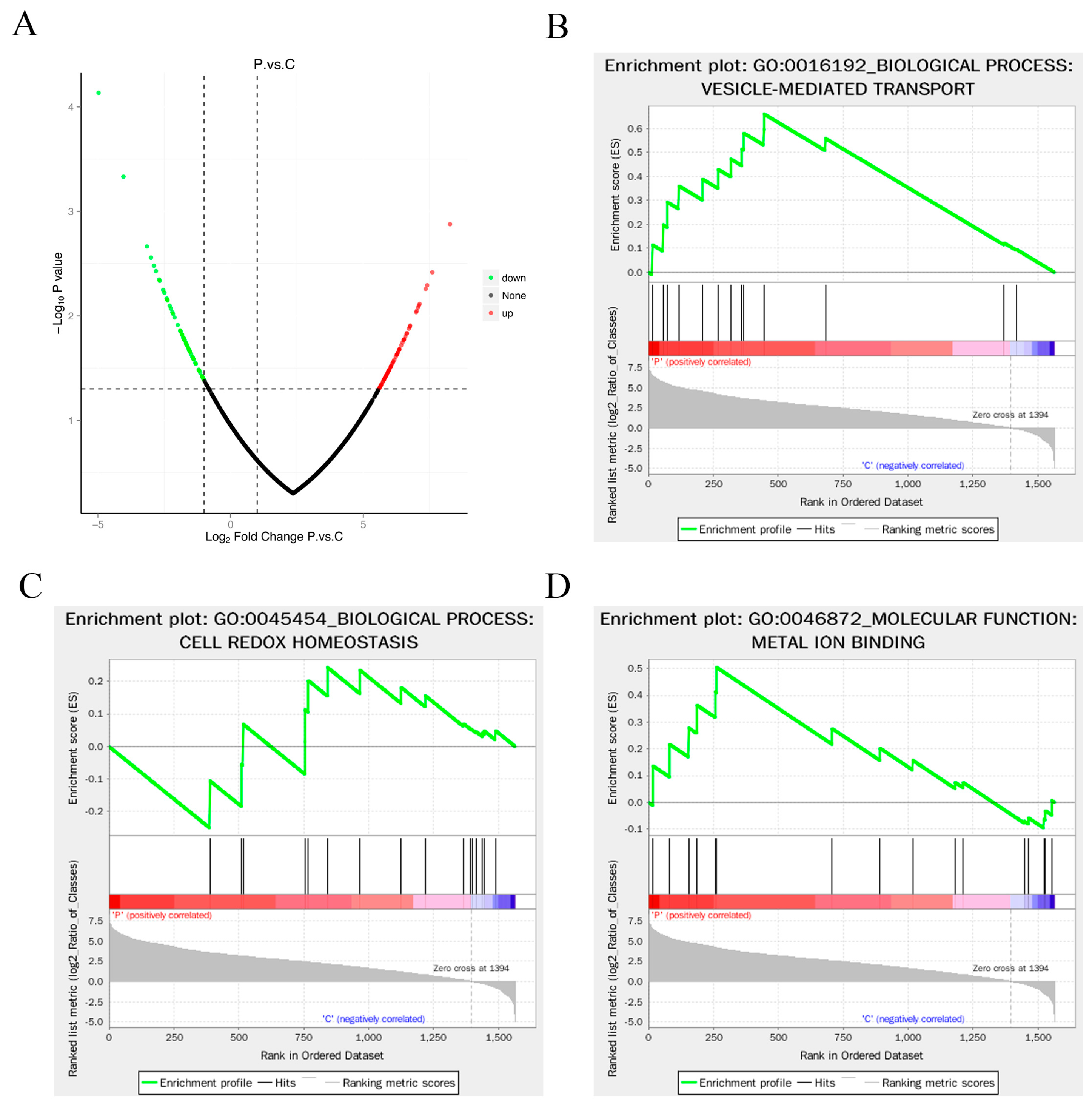 Animals 14 03401 g004