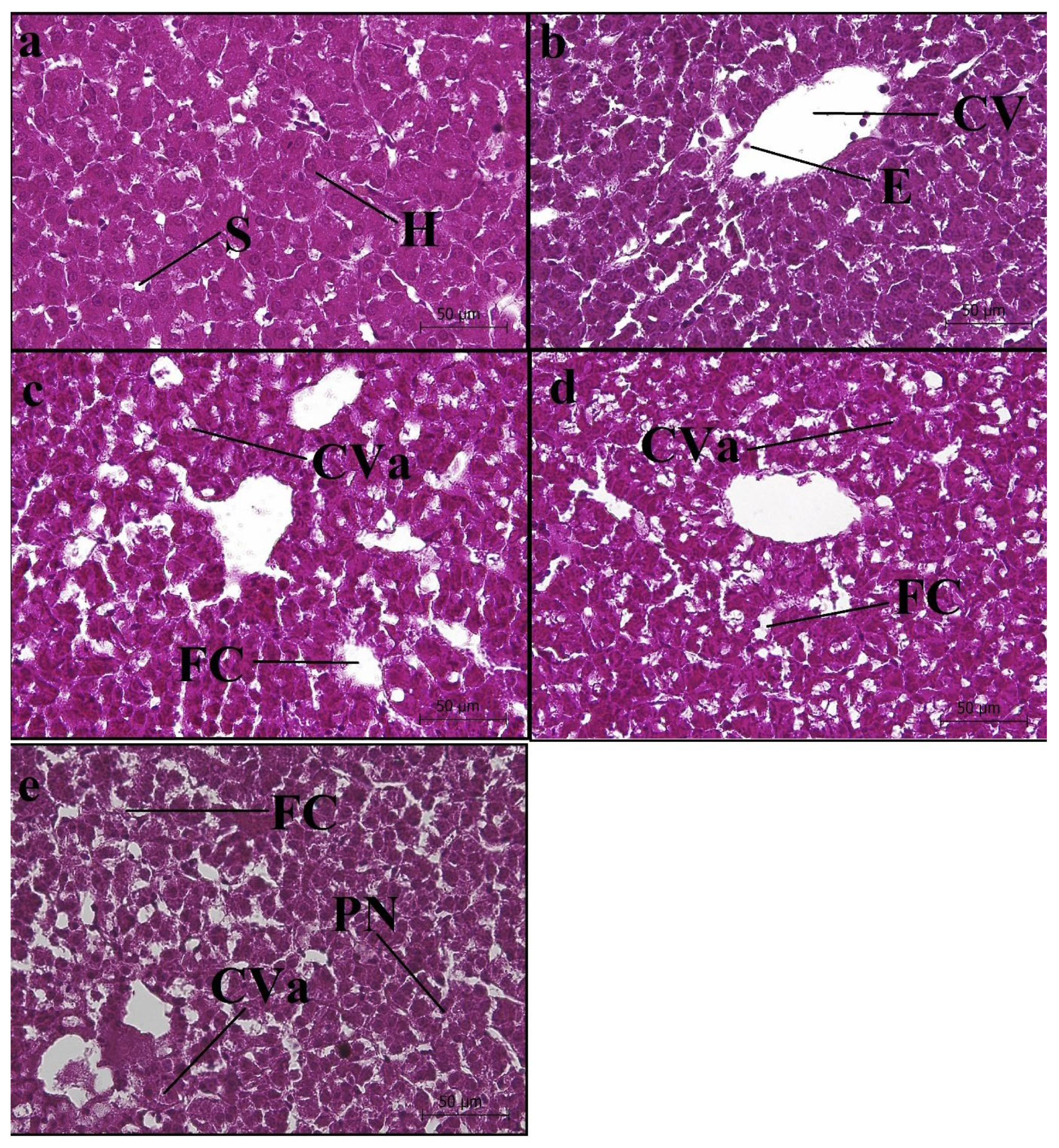 Animals 14 03402 g006