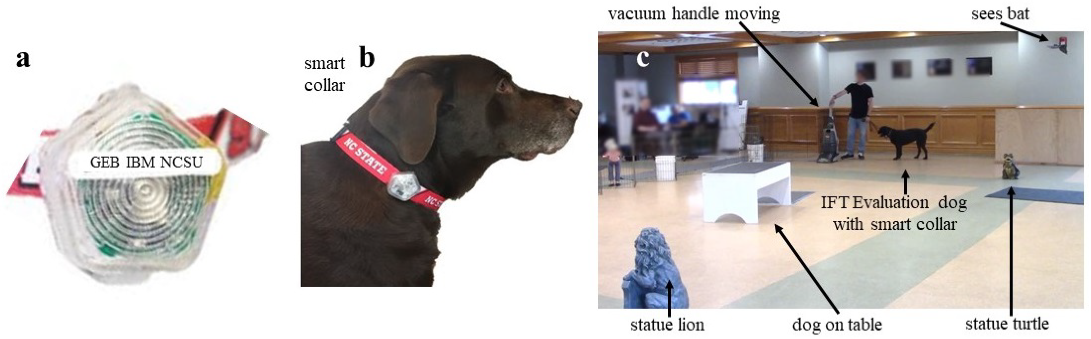 Animals 14 03403 g001