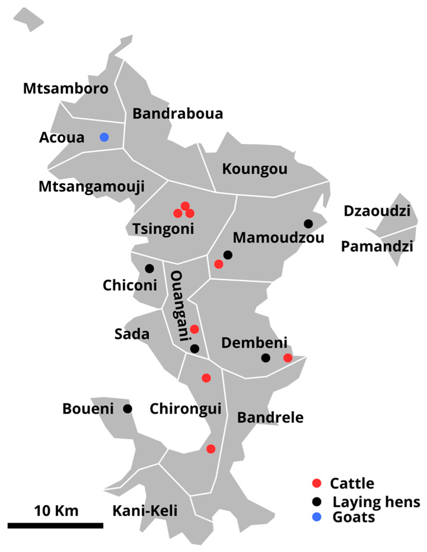 Animals 14 03405 g001