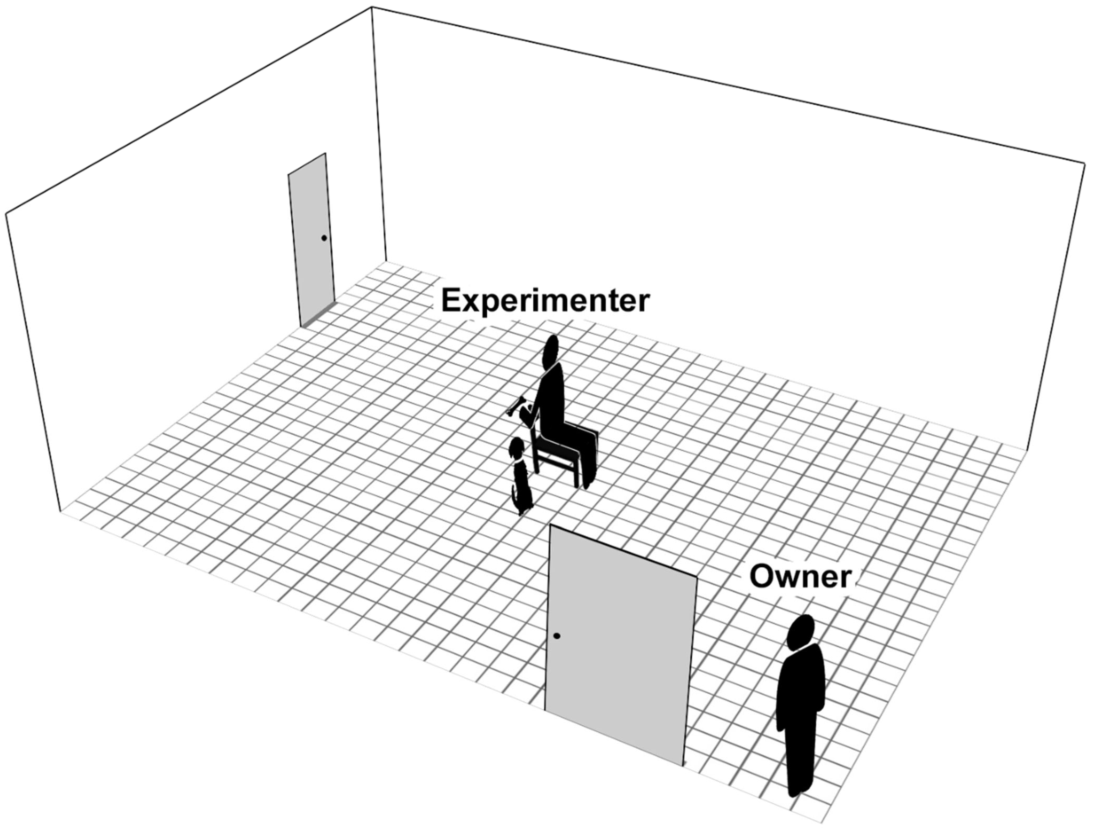 Animals 14 03411 g002