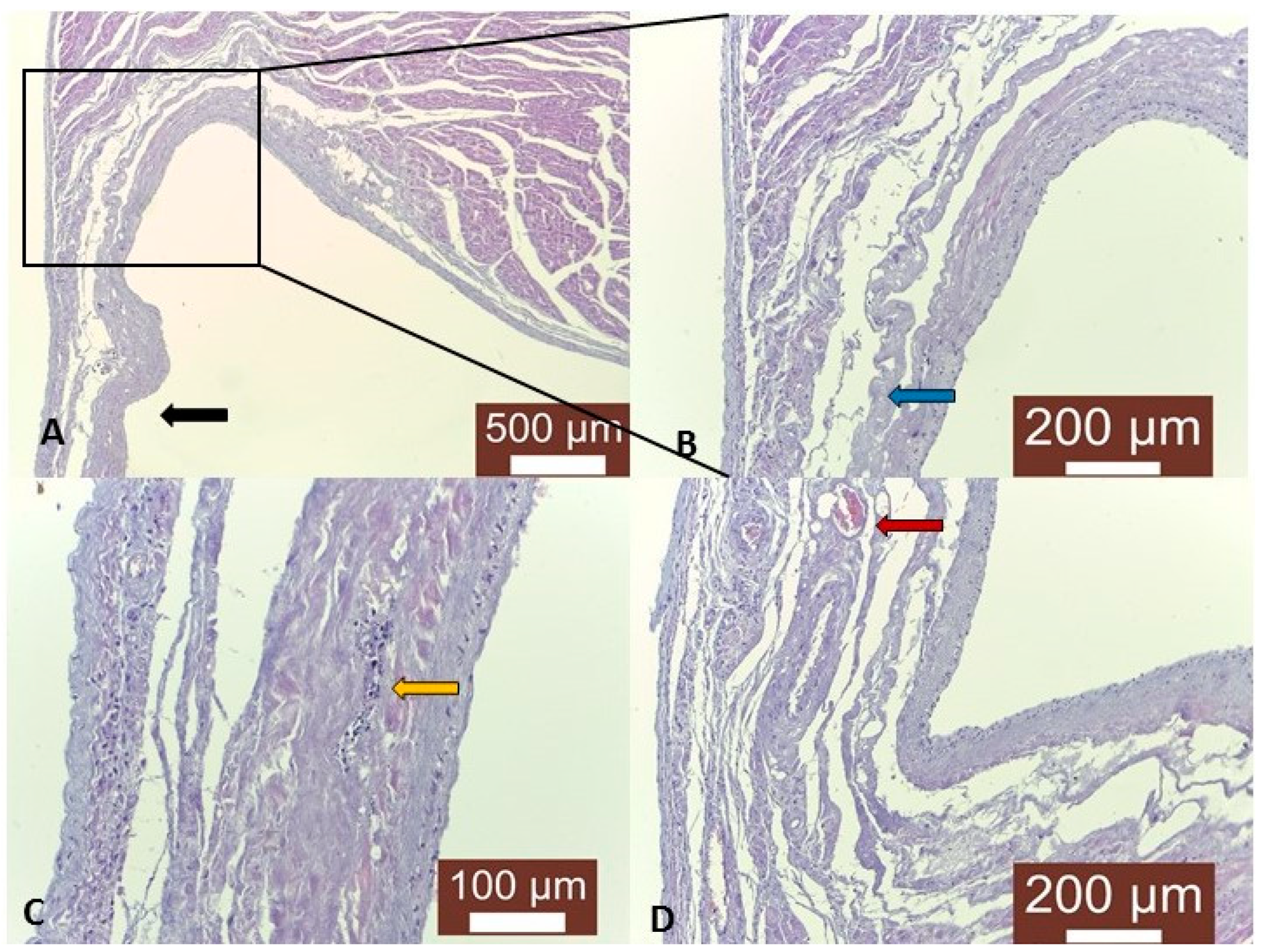 Animals 14 03412 g002 Animals 14 03412 g002