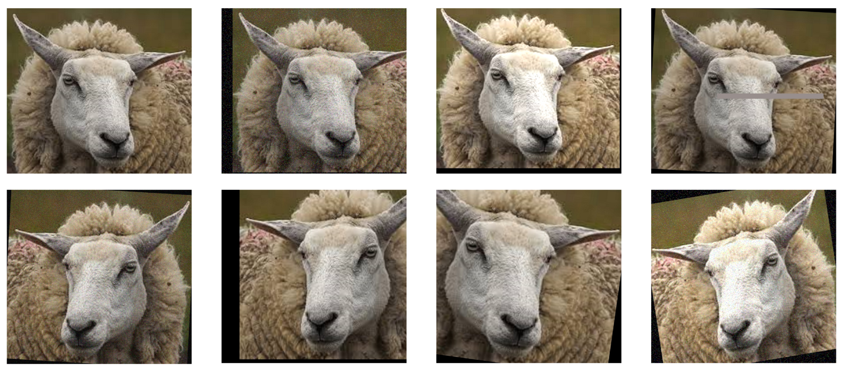 Animals 14 03415 g003