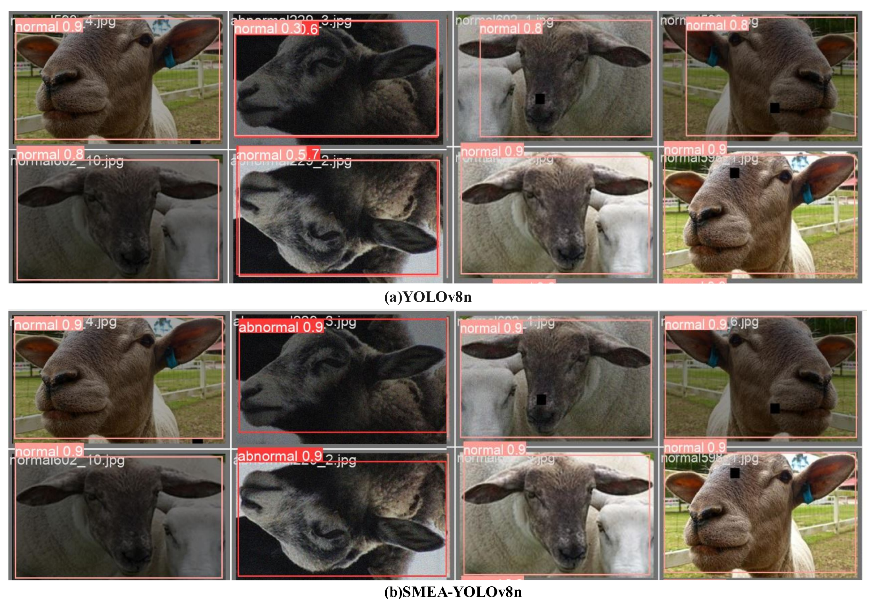 Animals 14 03415 g013