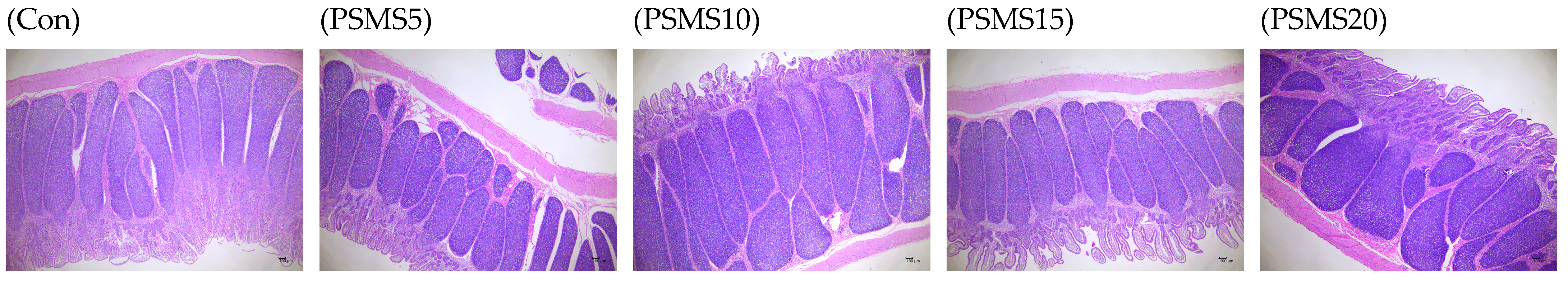 Animals 14 03416 g001