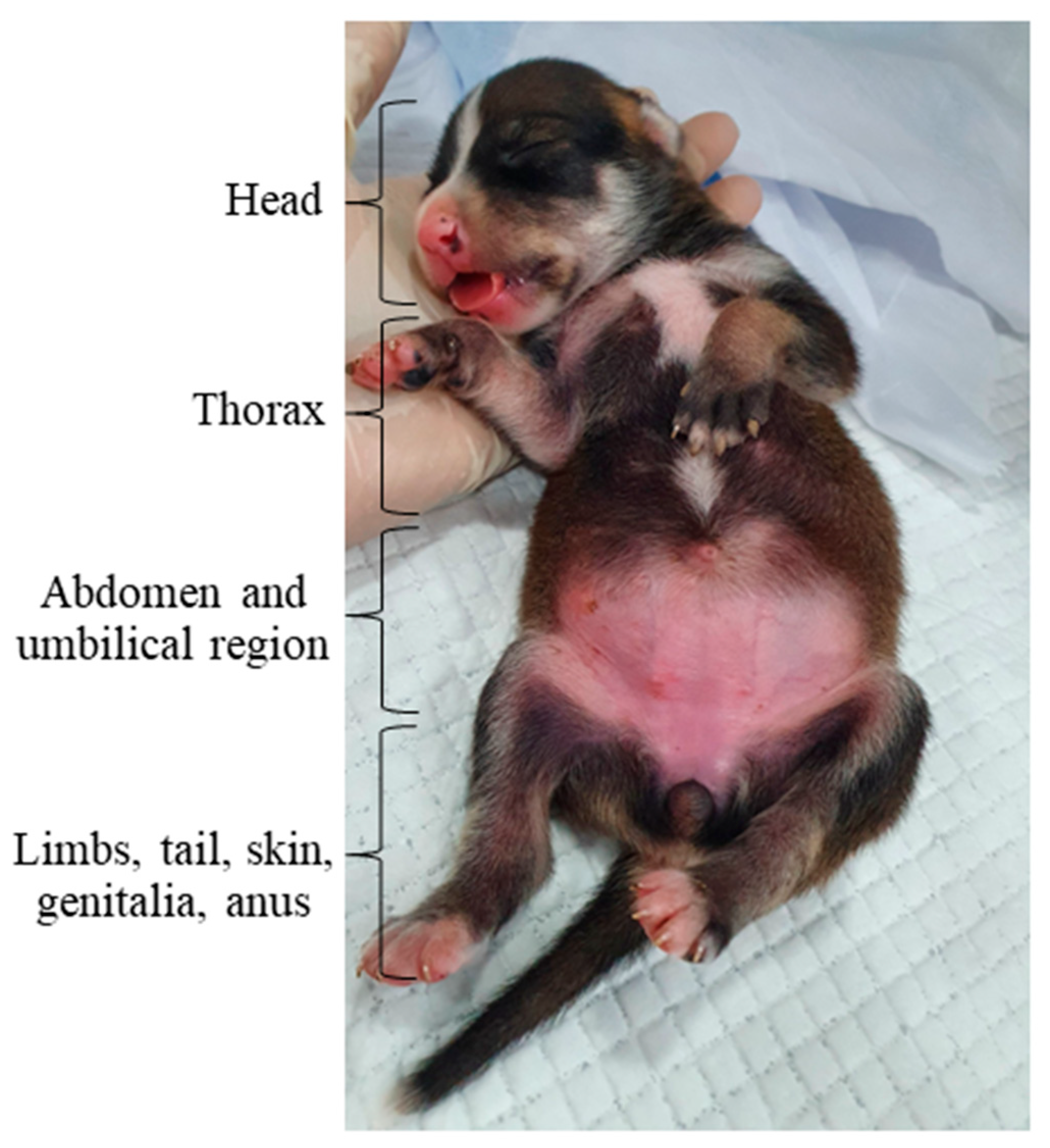 Animals 14 03417 g010