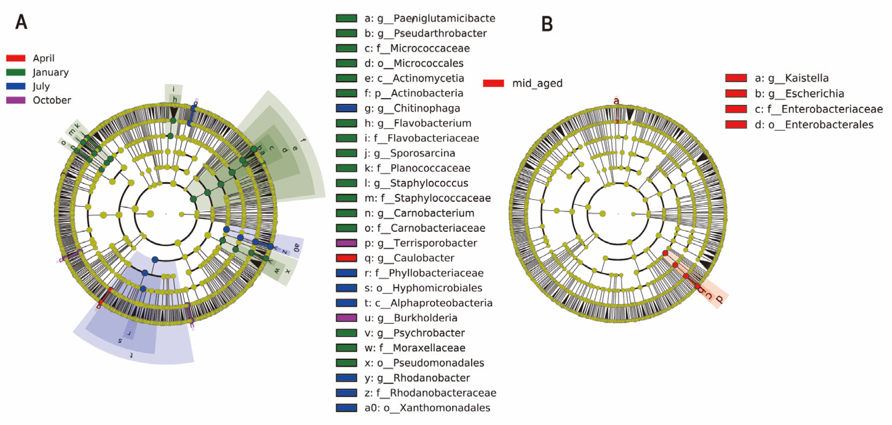 Animals 14 03418 g003
