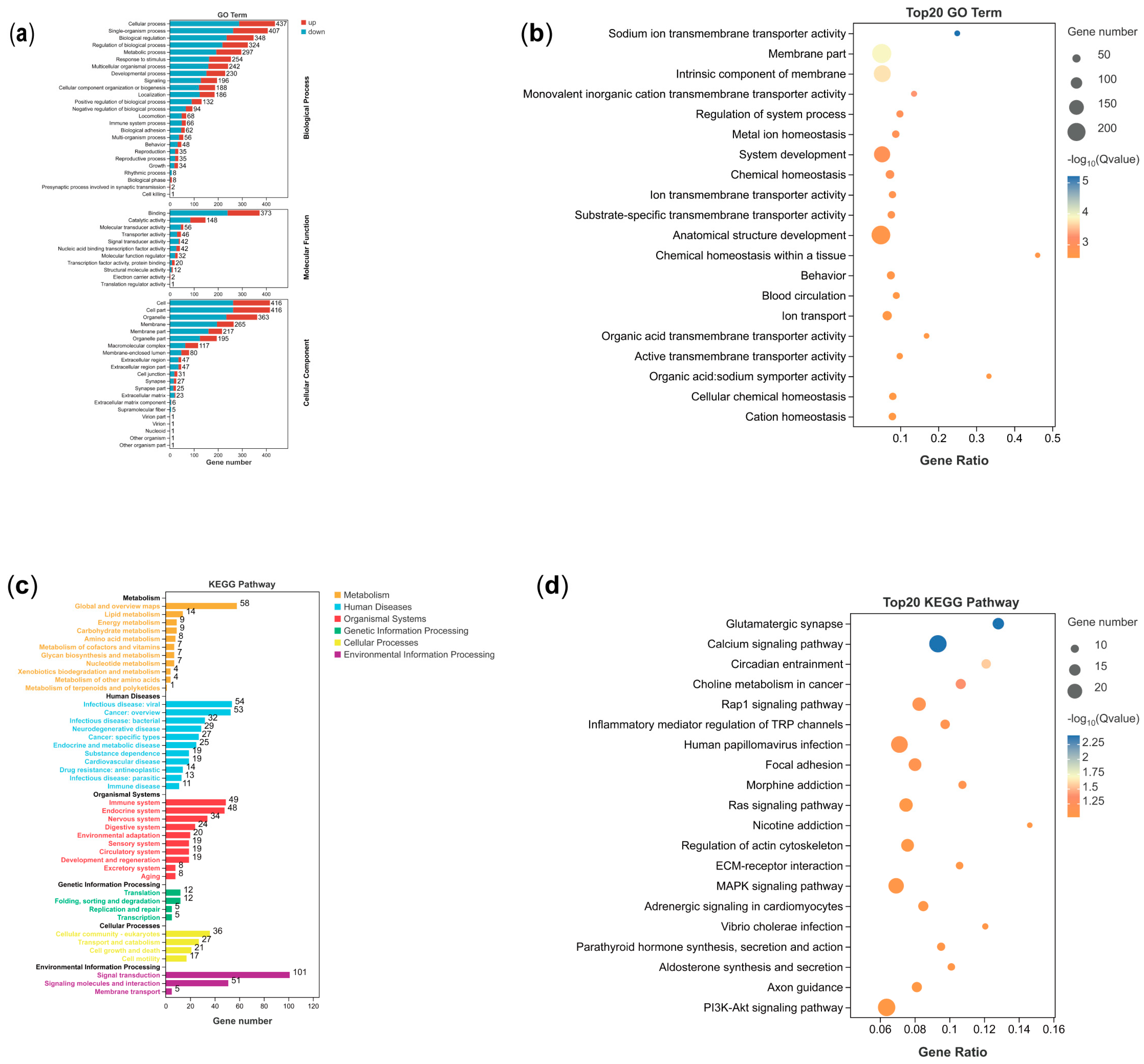 Animals 14 03426 g003